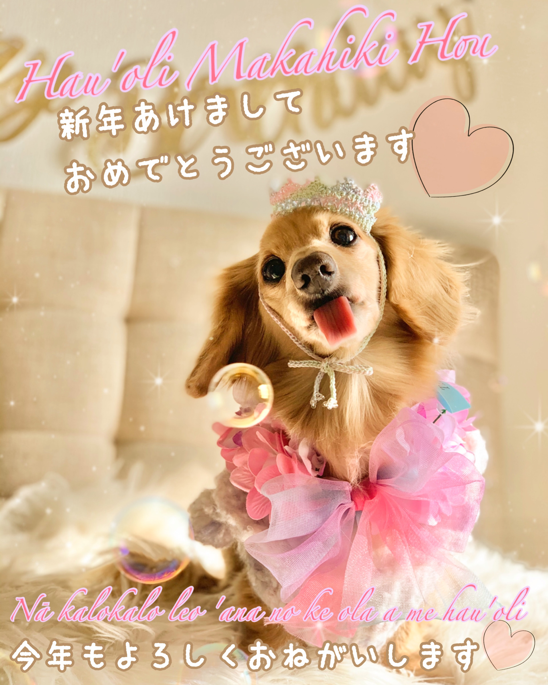 本年も宜しくお願い致します❤️