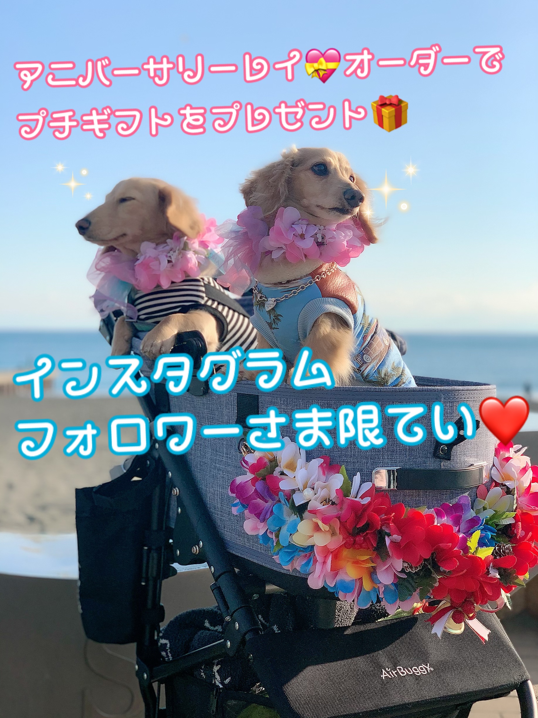 インスタグラムフォロワー様限定❤️