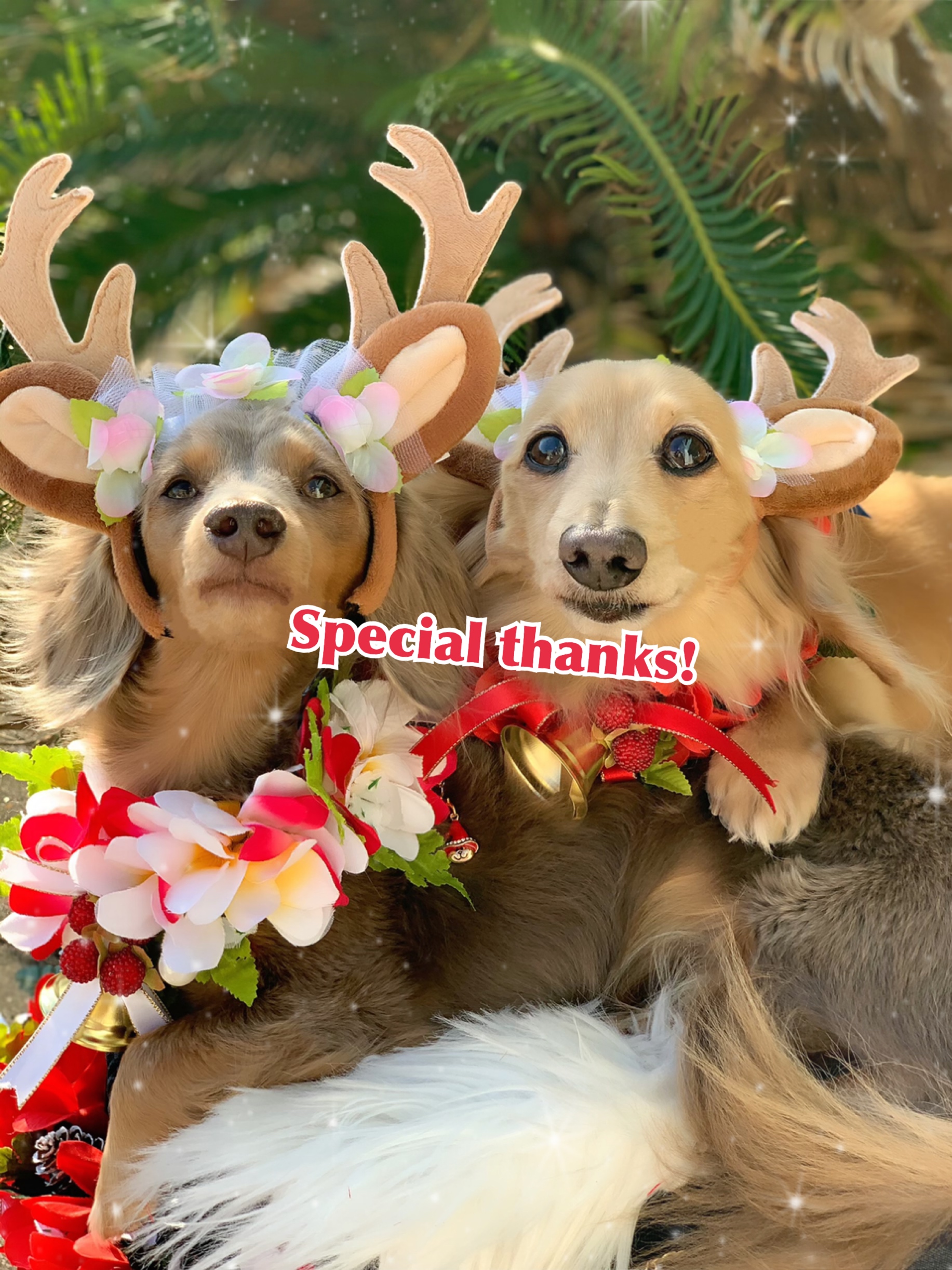 クリスマスレイ大好評❤️