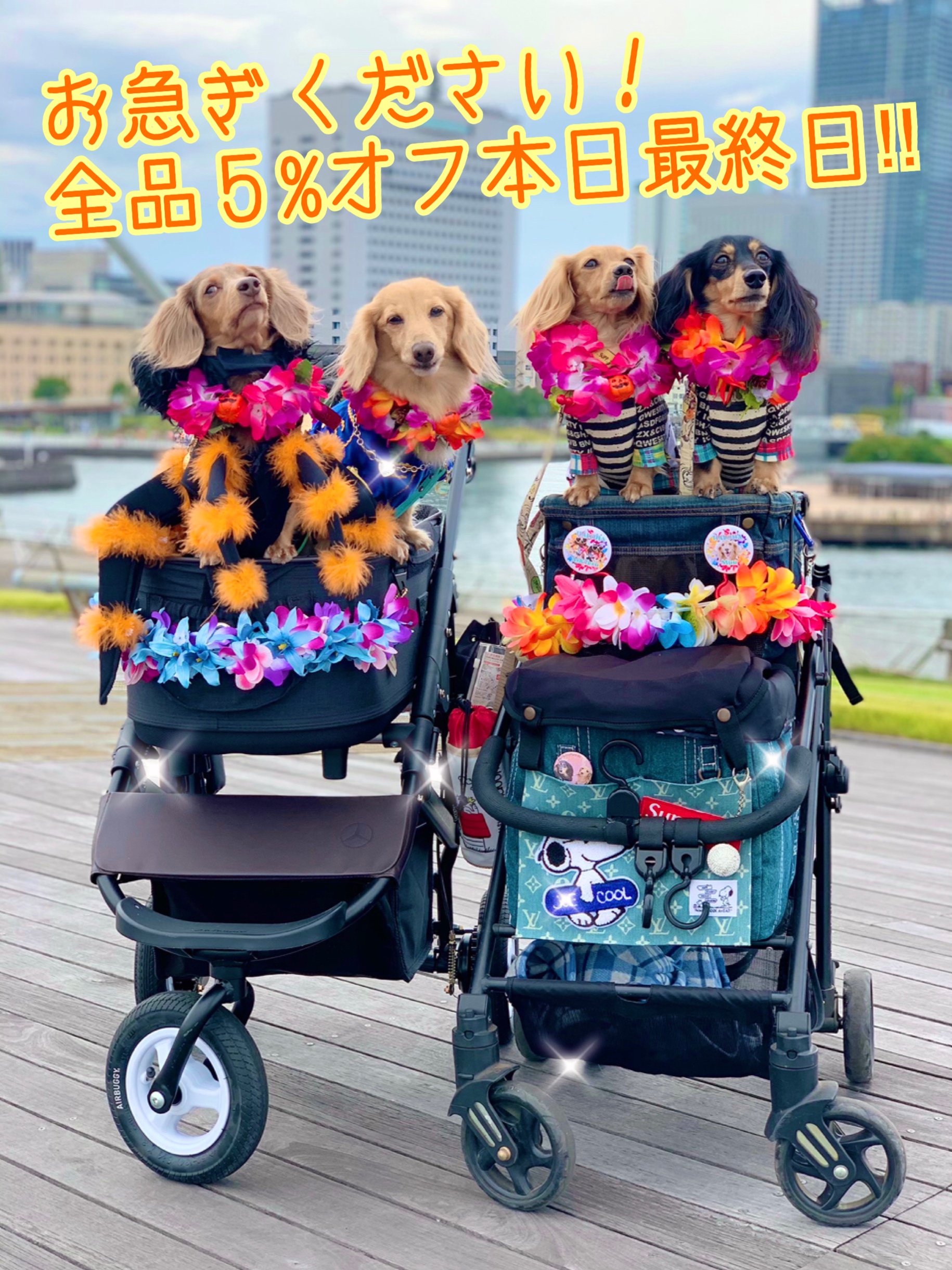 お急ぎください‼️セール最終日‼️