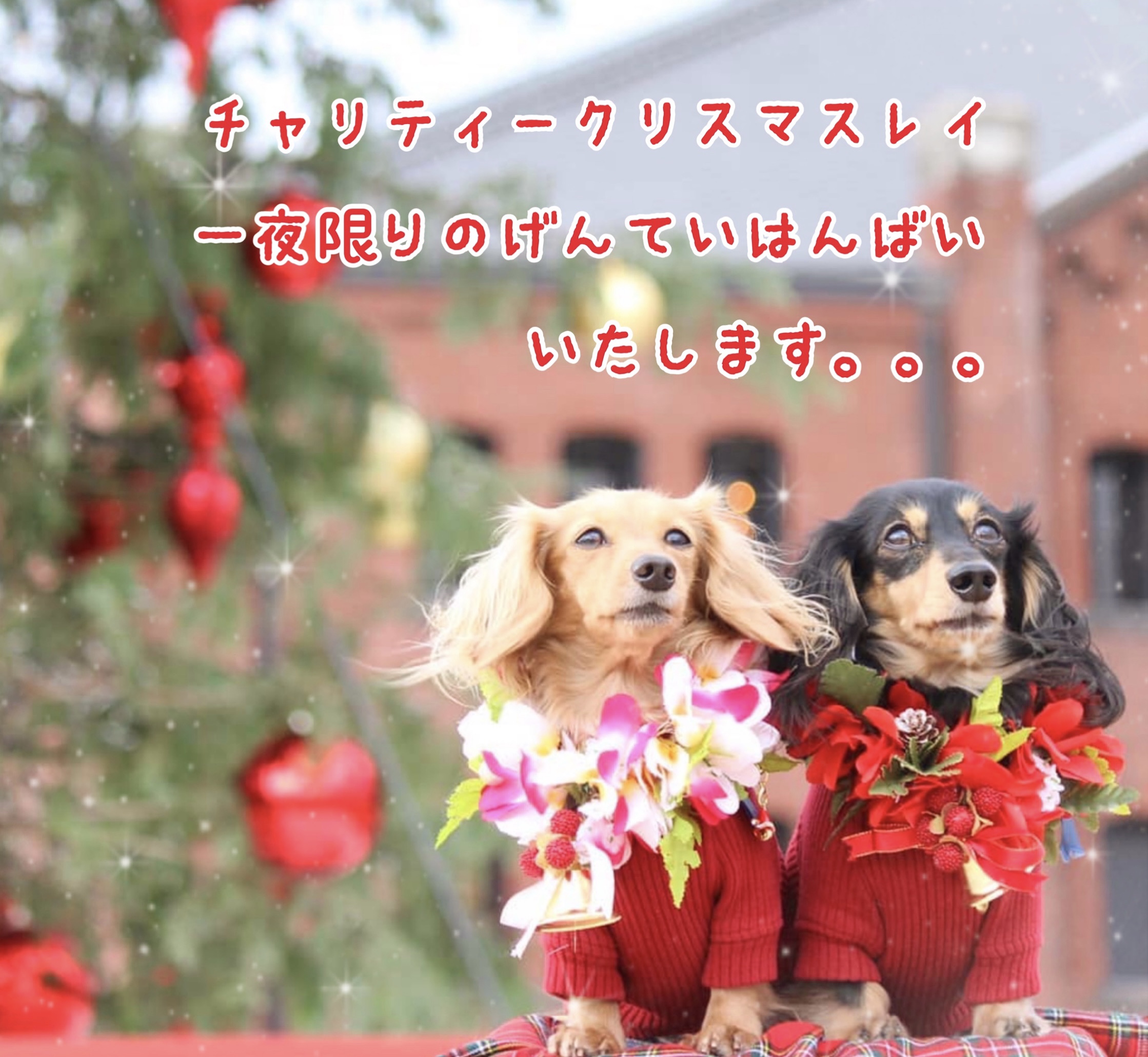 今夜限りのチャリティークリスマスレイ限定販売