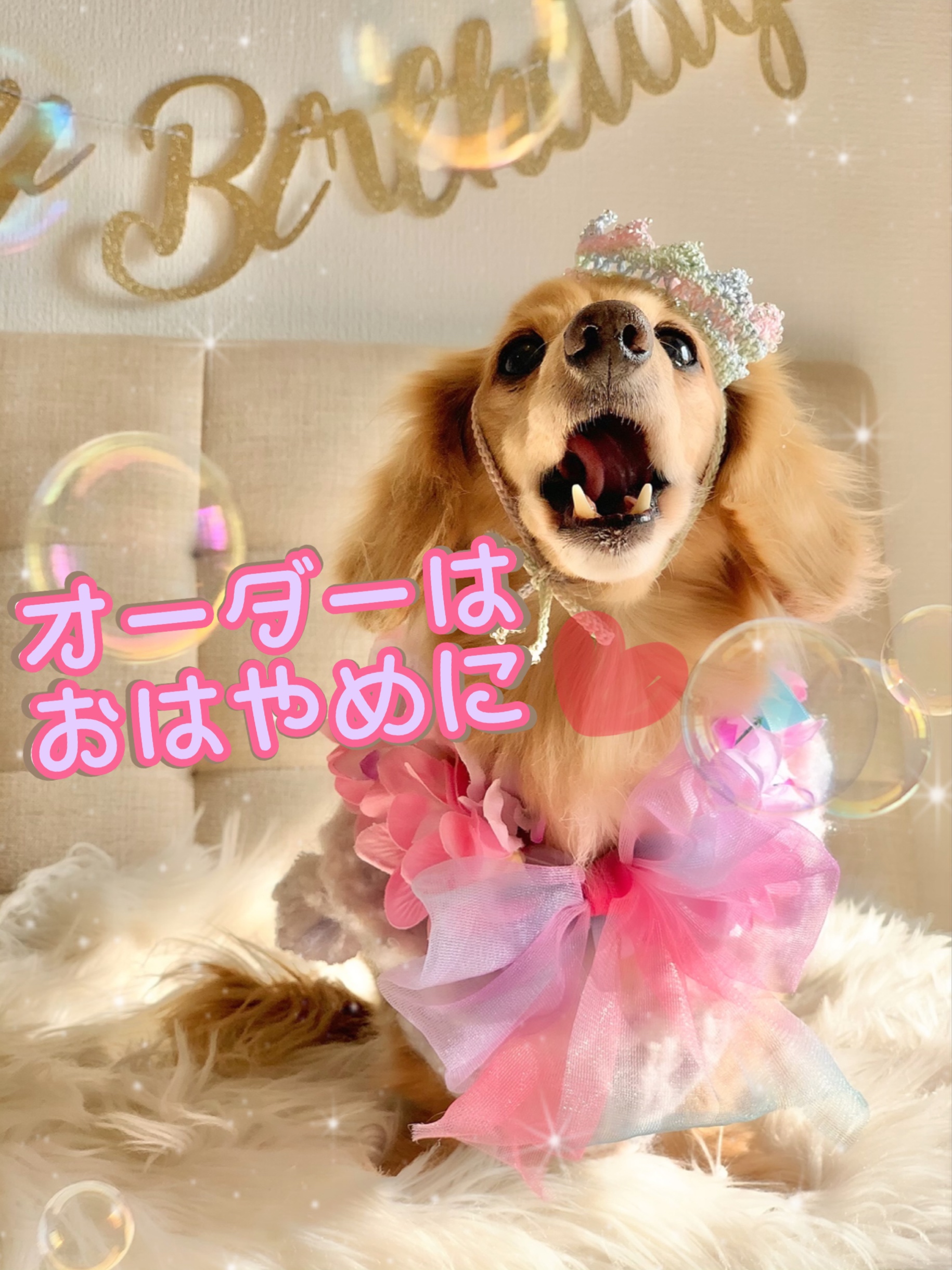 オーダーはお早めにお願い致します🙇‍♀️