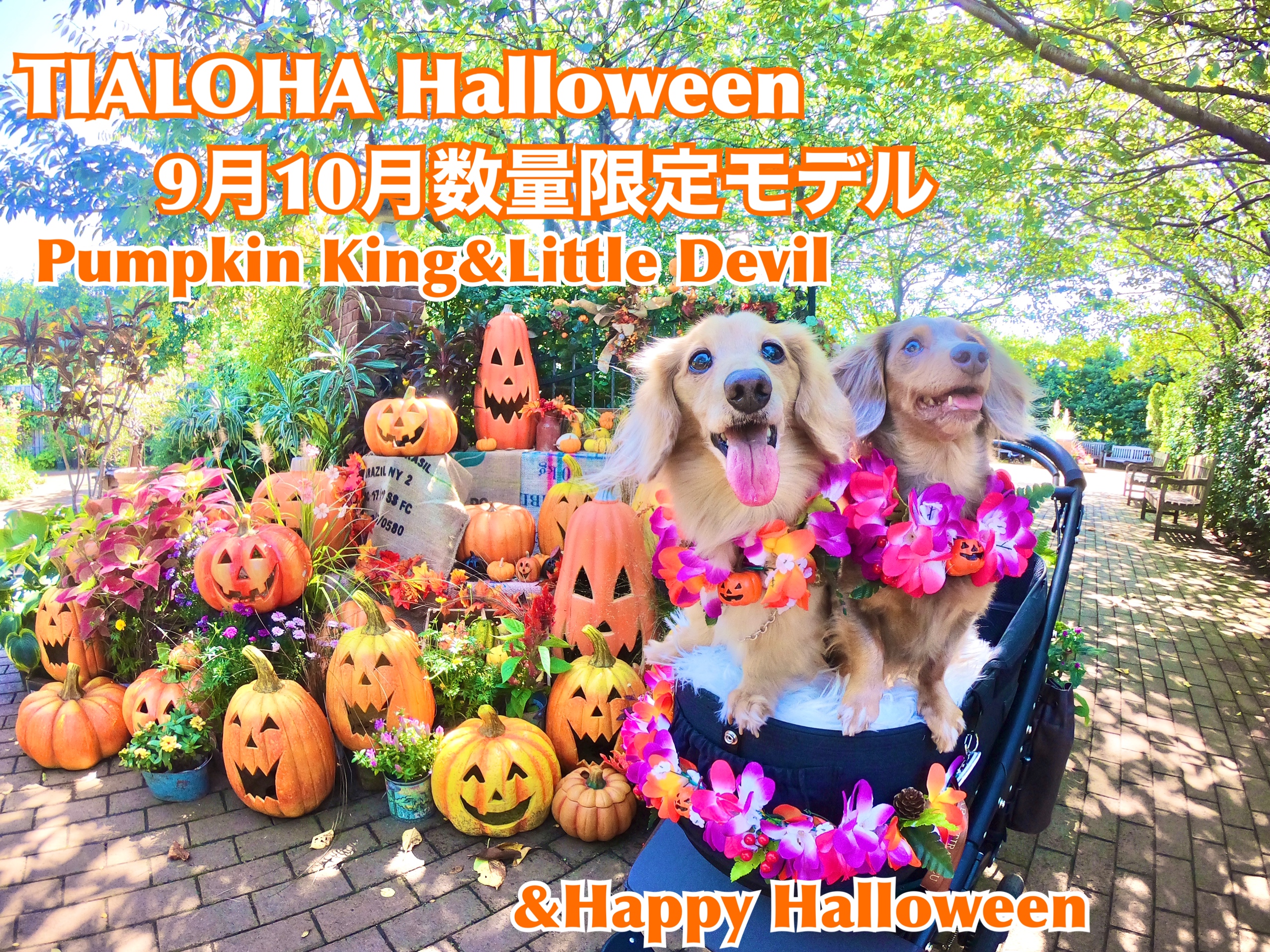 いよいよ10月のスタート❤️