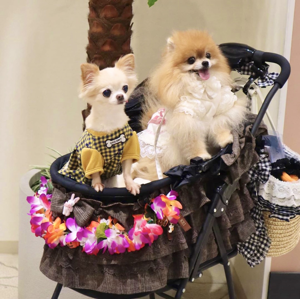 バギーカート専用アクセサリーレイも大人気❤️