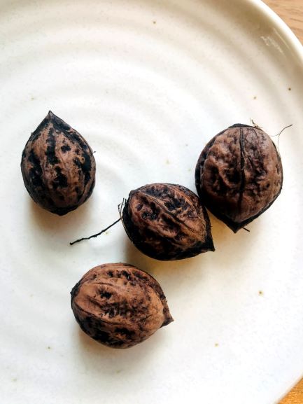 自然からの贈り物