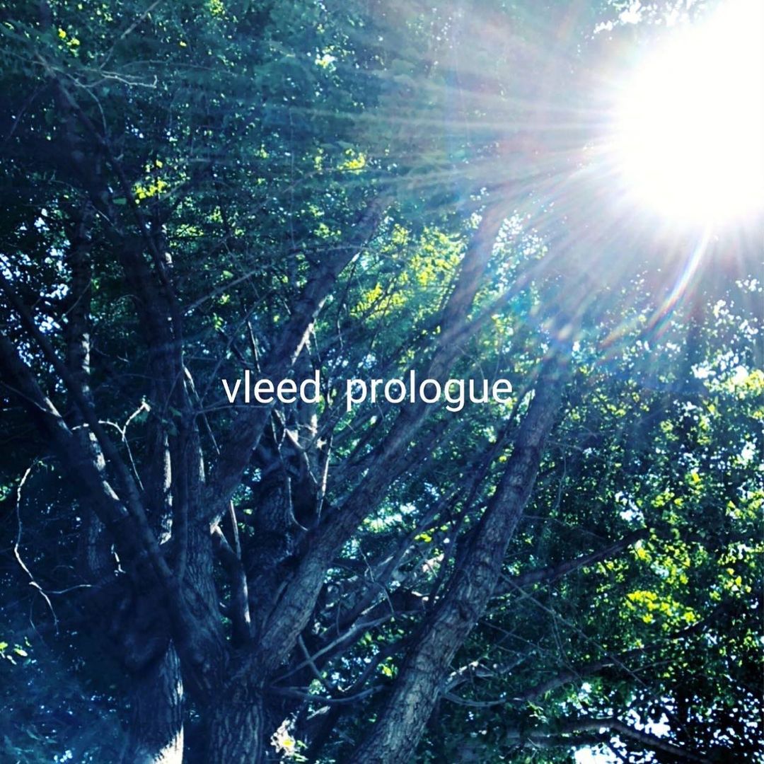 vleed prologue debut