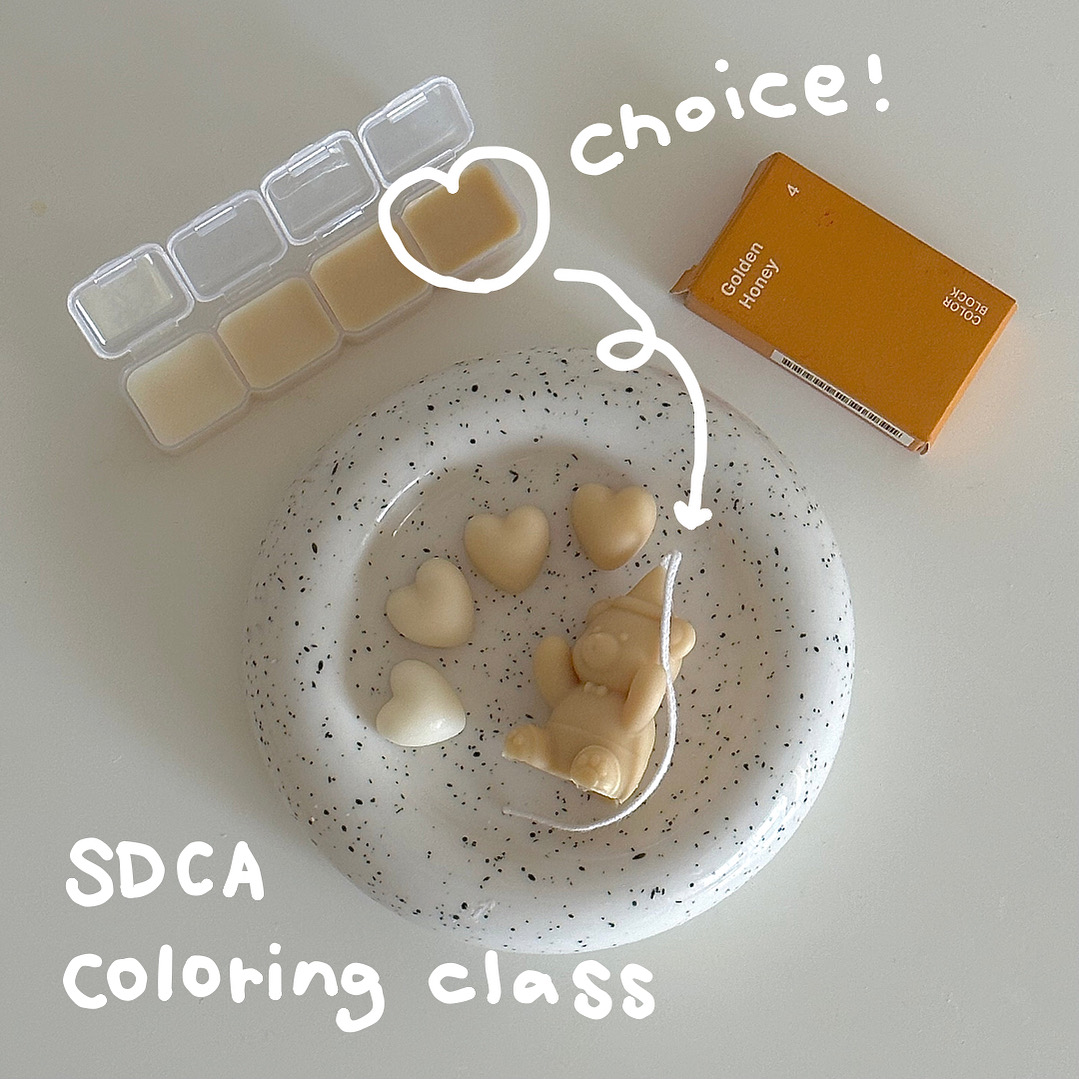 SDCA coloring class