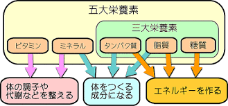 日本人は慢性的にミネラル不足になっている