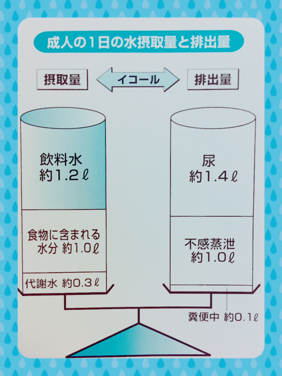 水分補給と効果的な水の飲み方