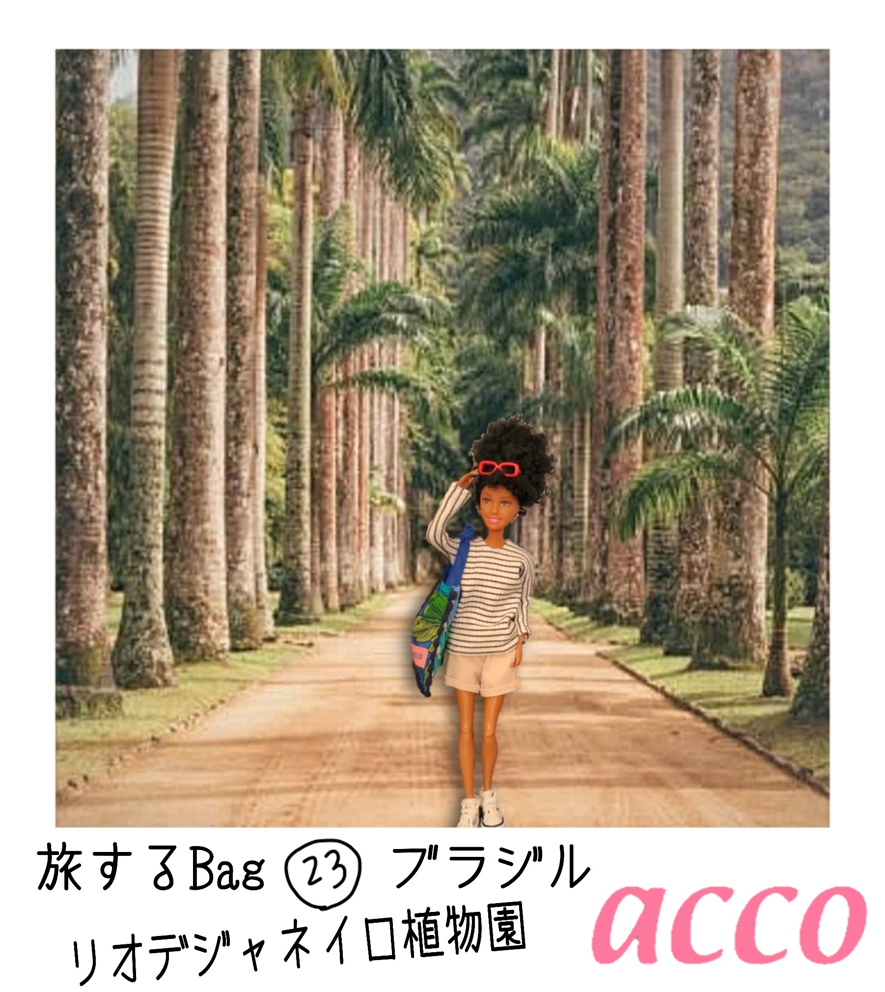 光合成🌵
