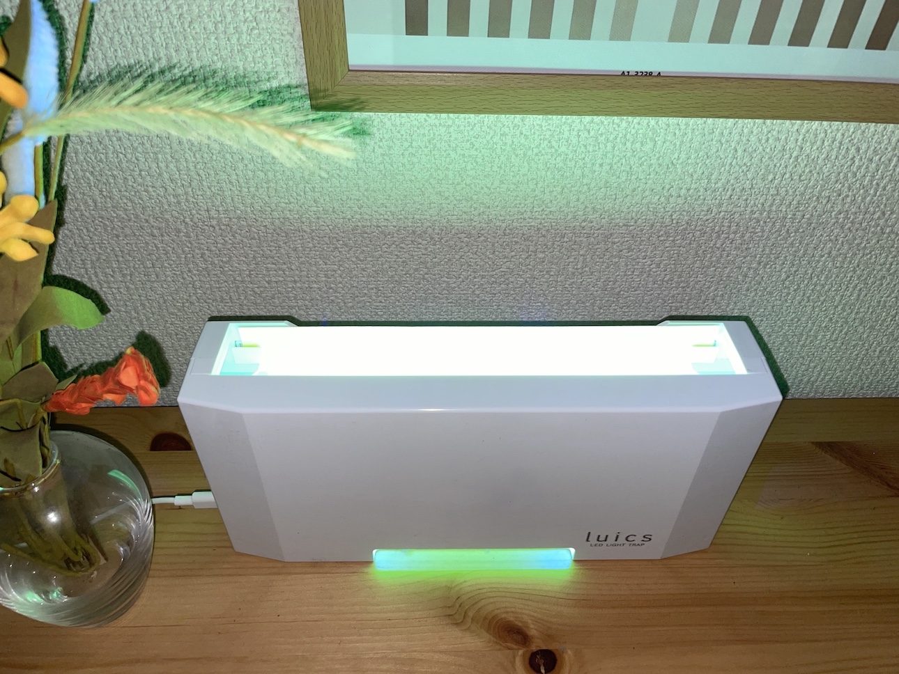 夏のコバエ対策品はこれ！！