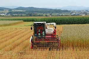 2025年産 新そば 販売開始の遅延について