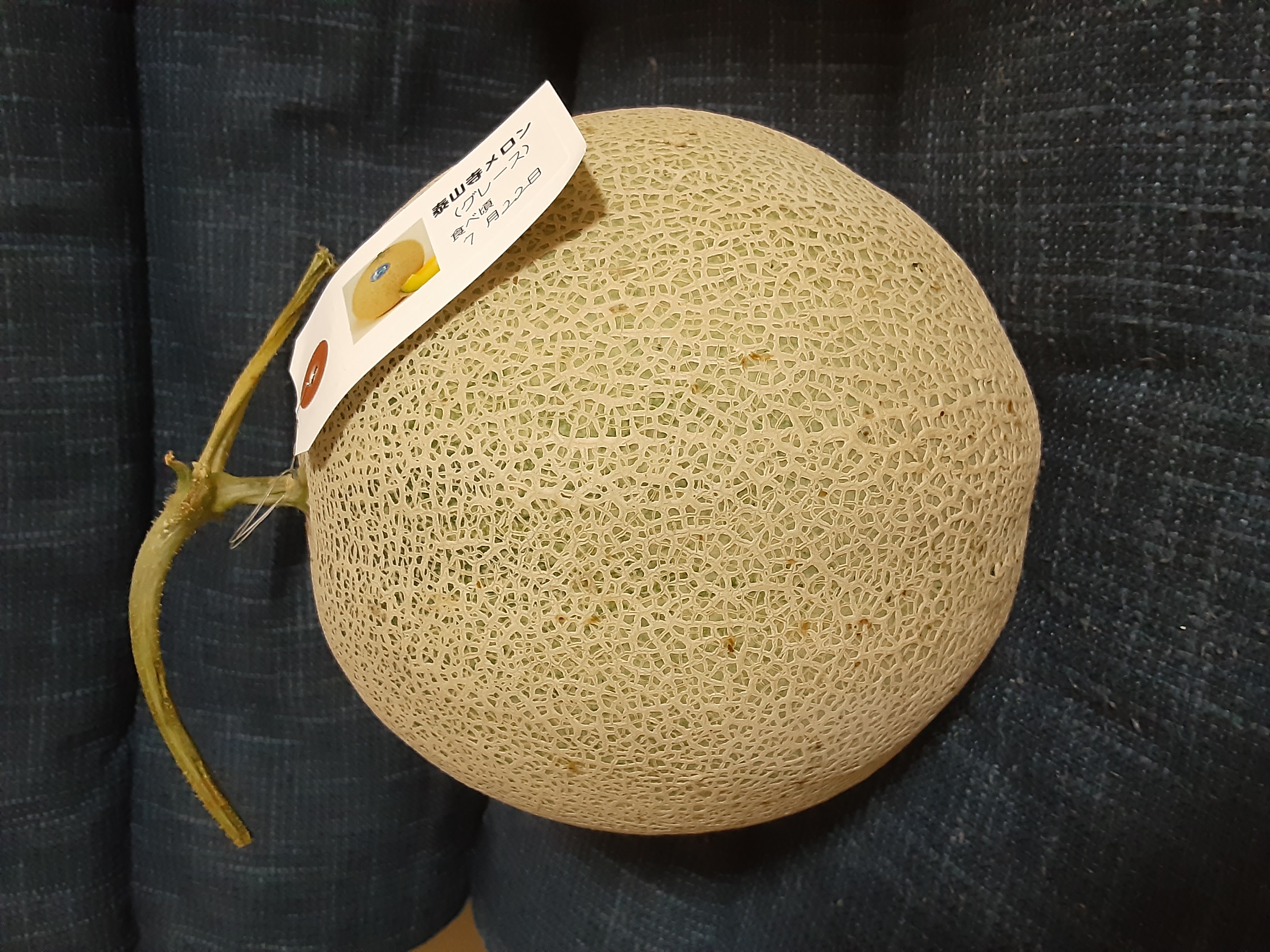 メロン🍈御恵贈頂きました‼️