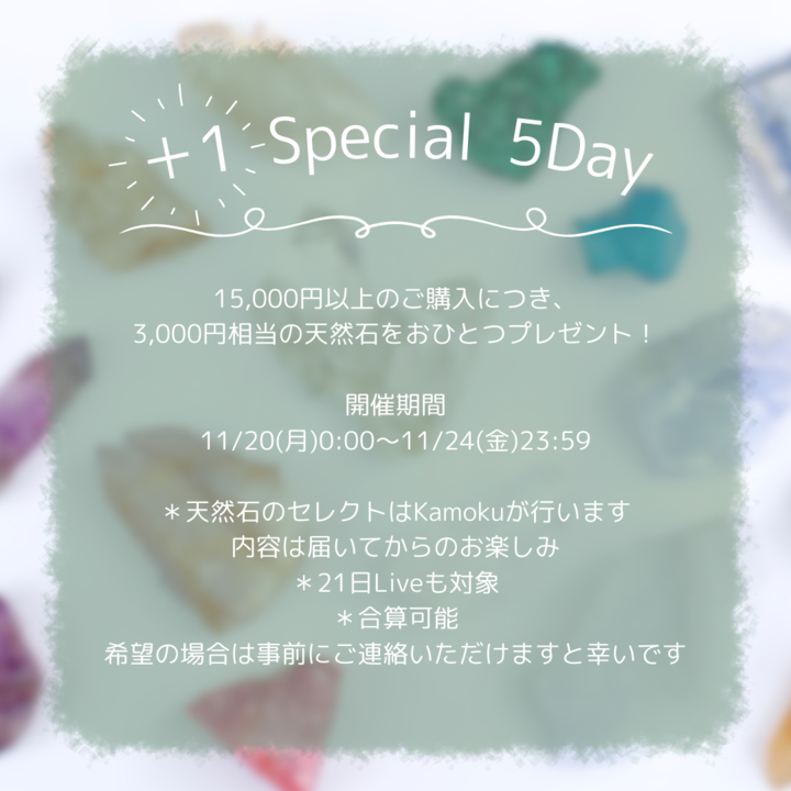 【𝕊𝕡𝕖𝕔𝕚𝕒𝕝 𝟟𝔻𝕒𝕪】11/20(月)～11/26(日)