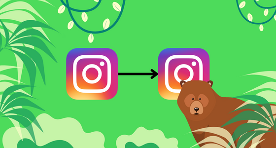 新規Instagramアカウントに移行しました☺︎