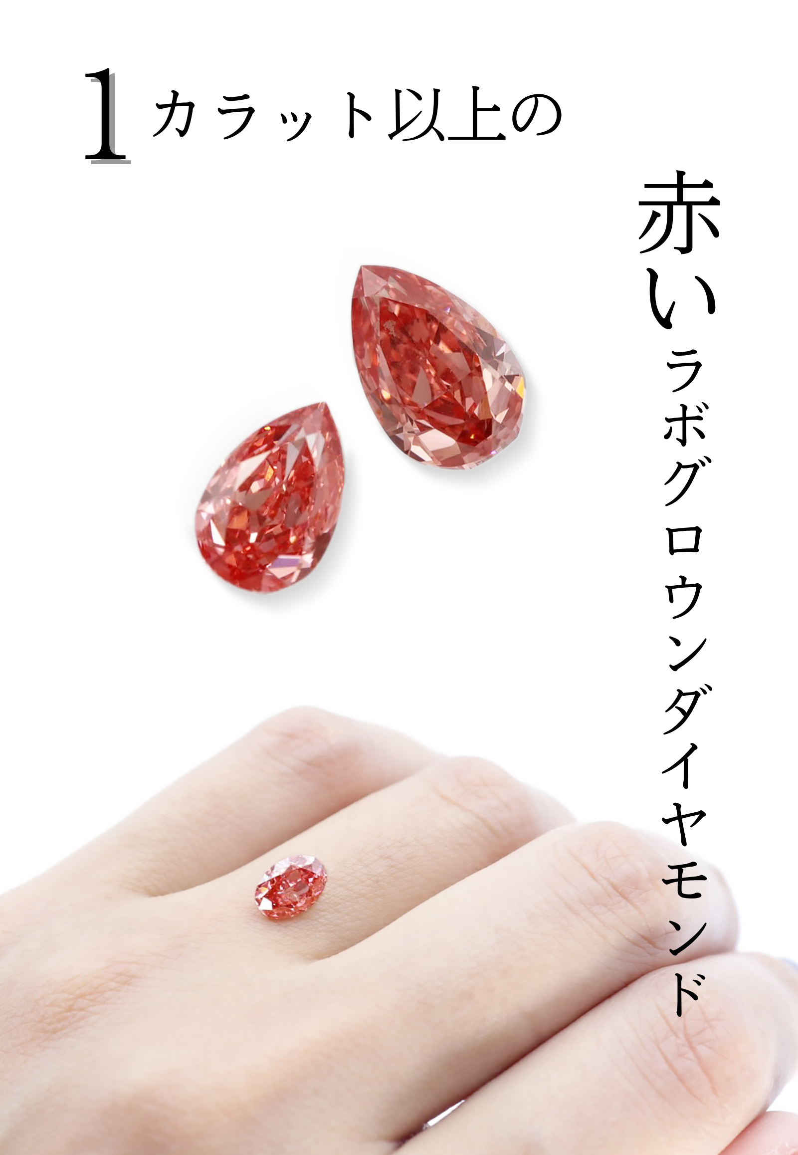 💎 幻の「レッドダイヤモンド」追加確保のお知らせ 10/10更新