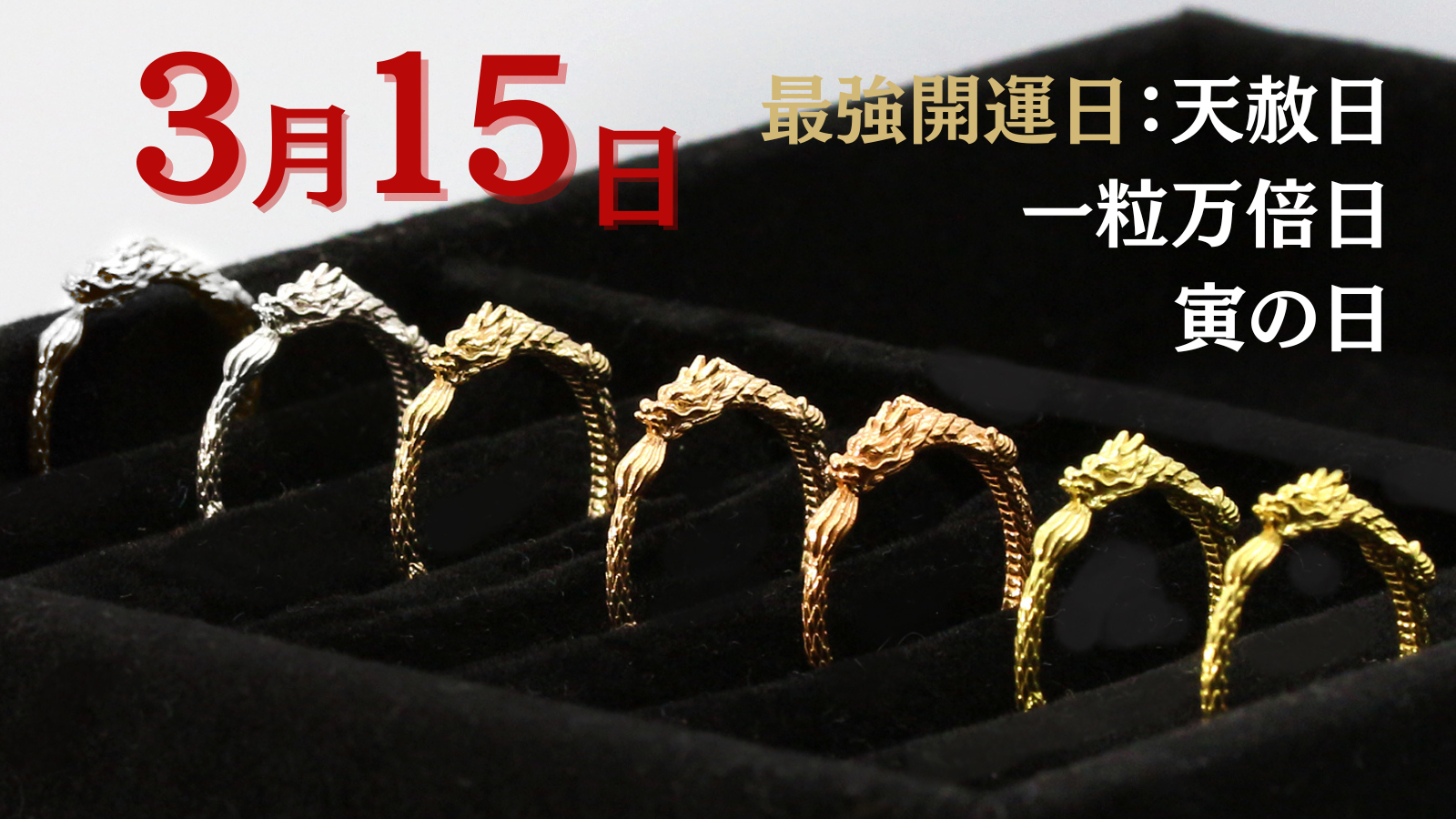 【金の龍のリング】辰年だからだけではない。ここでしか買えない「金の龍」。純金ブランドの“JUNGO