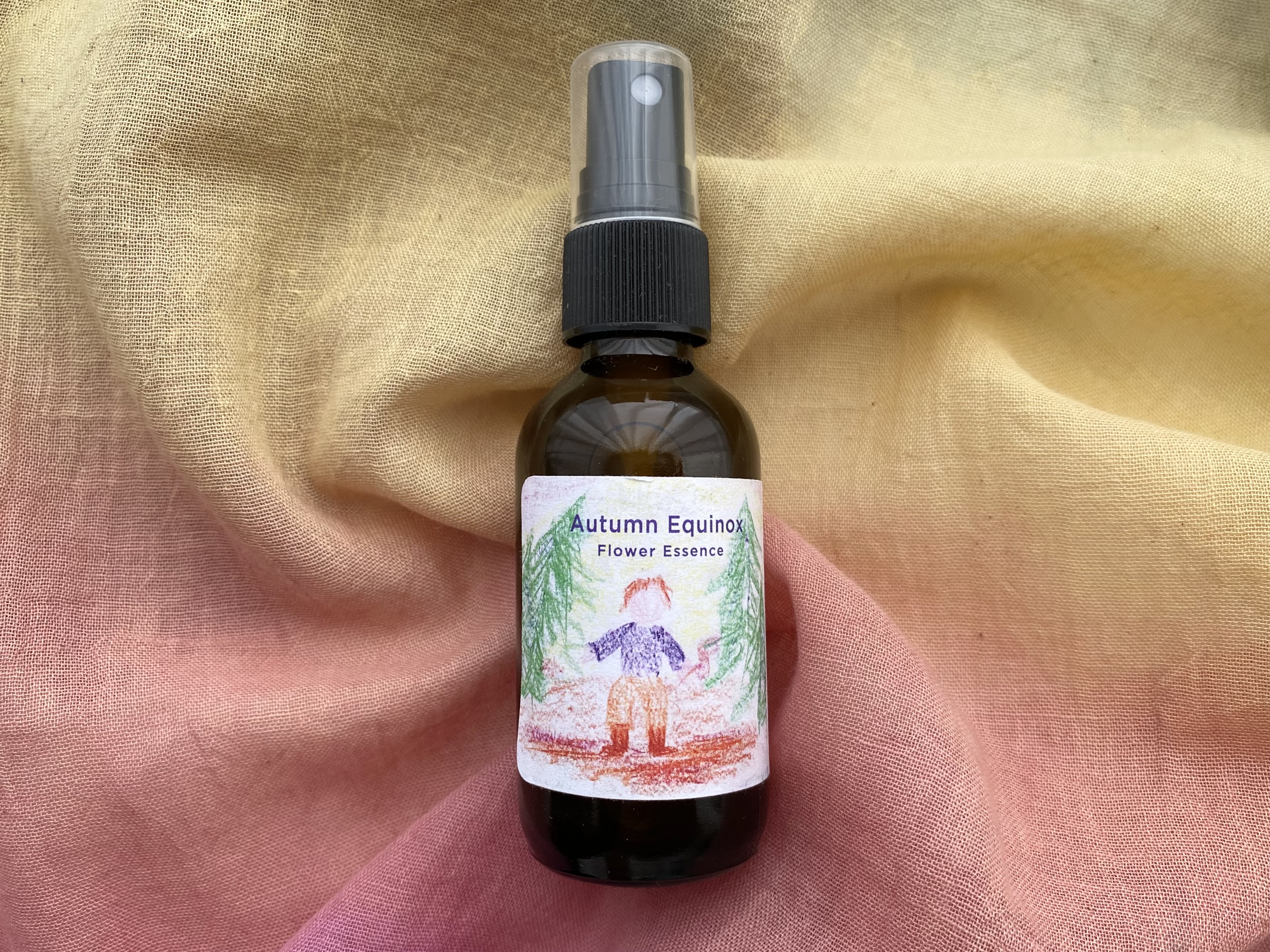 シャスティカ🕊️秋の新入荷情報🕊️