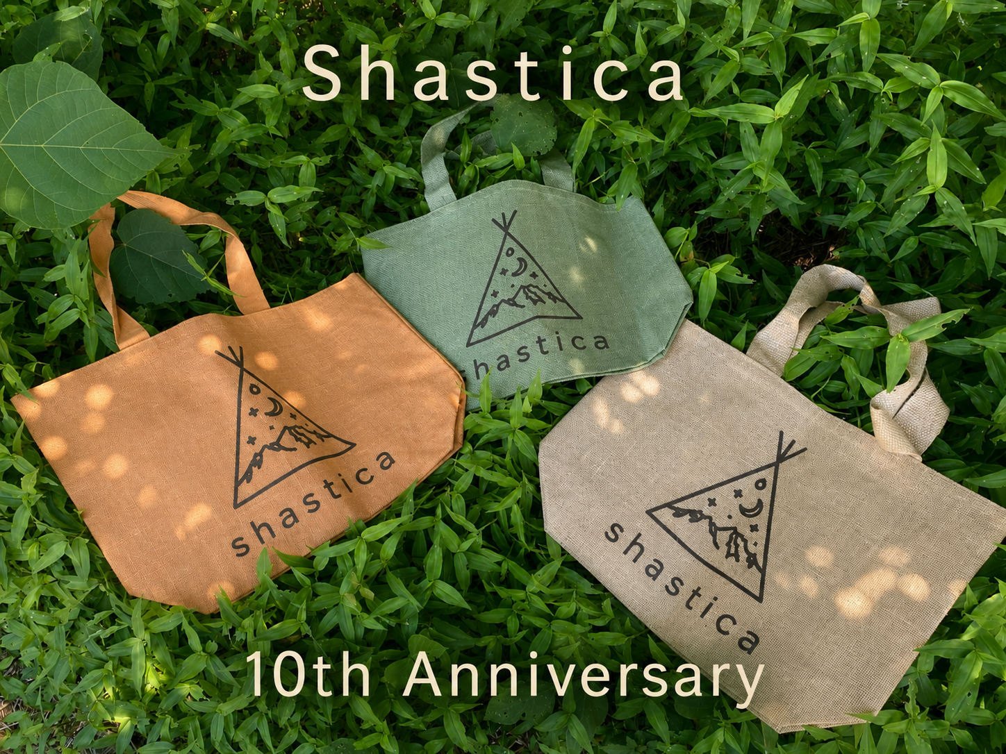 Shastica 10th Anniversary!!🌞