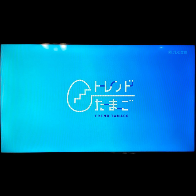 TV東京WBS（ワールドビジネスサテライト）のトレンドたまごで リプラスストーン」が紹介されました