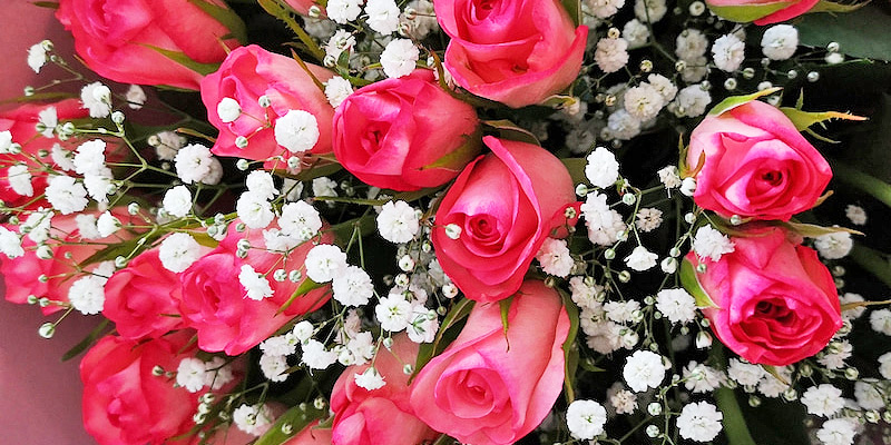 本数や色で意味が違う薔薇の花言葉
