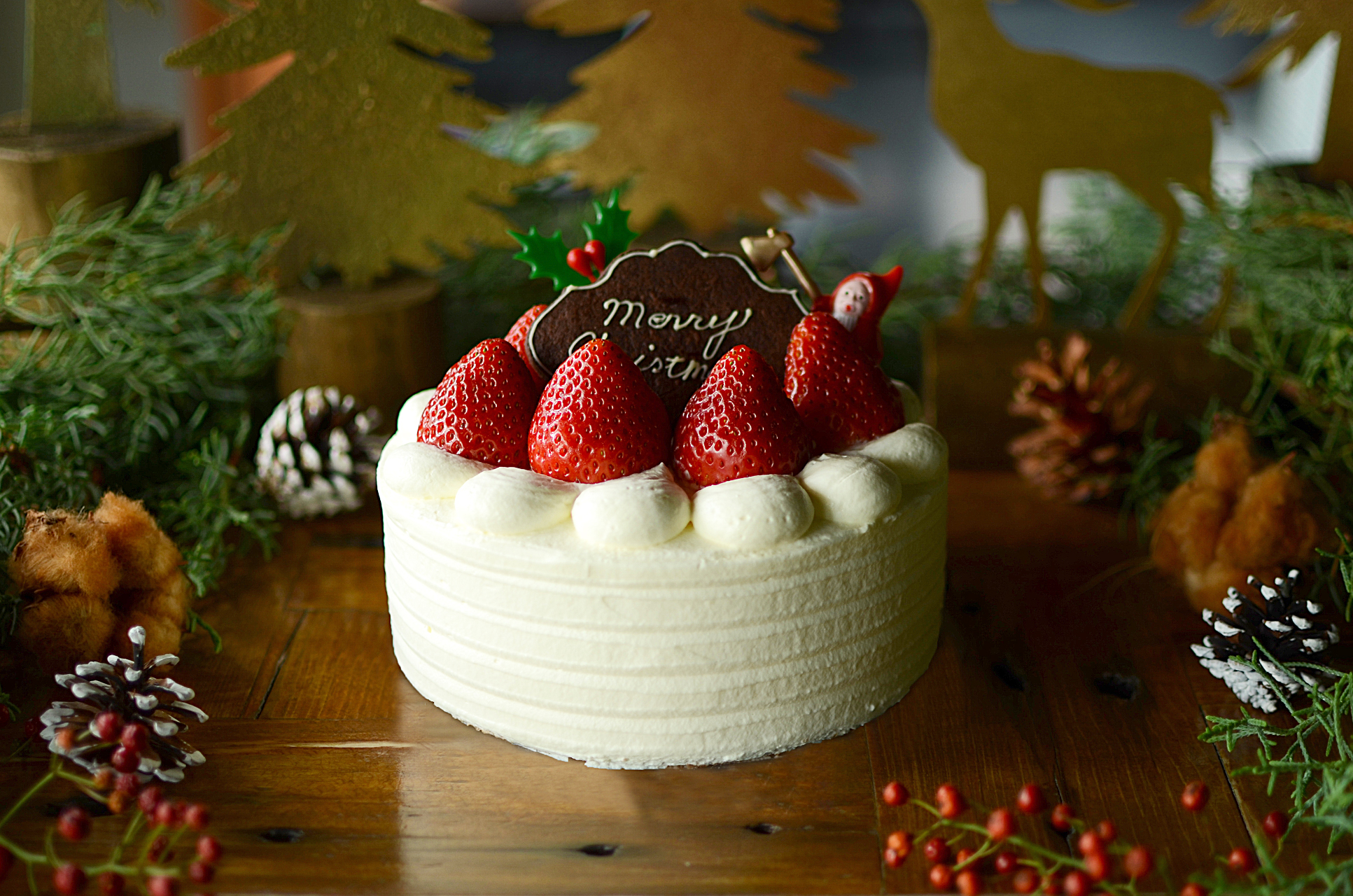 🎅デコレーションケーキ「いちご園のクリスマスケーキ」🎄🍓