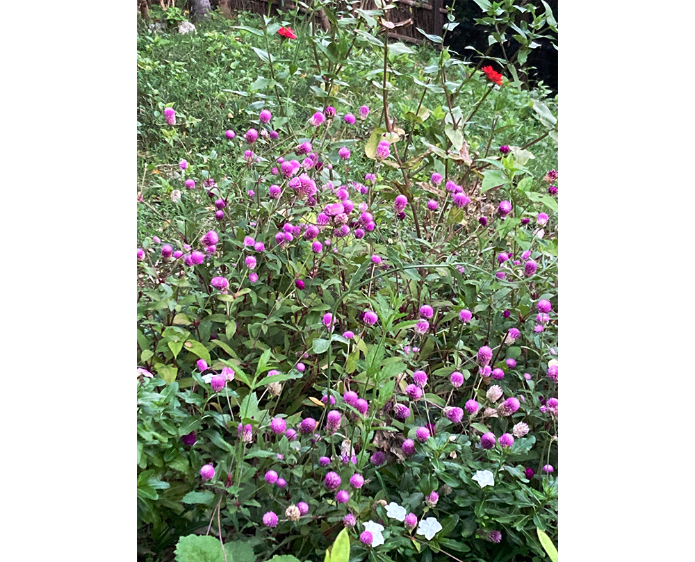 11月のオープン予定。ニットの季節。