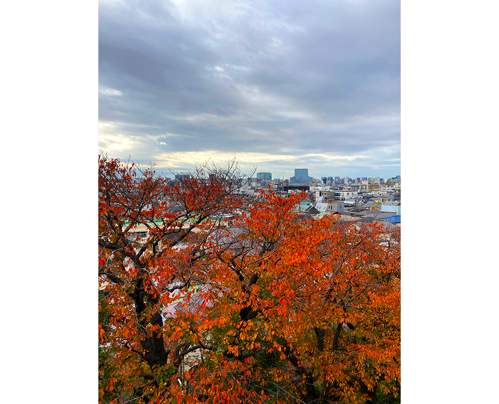 師走　12月のオープン予定です。