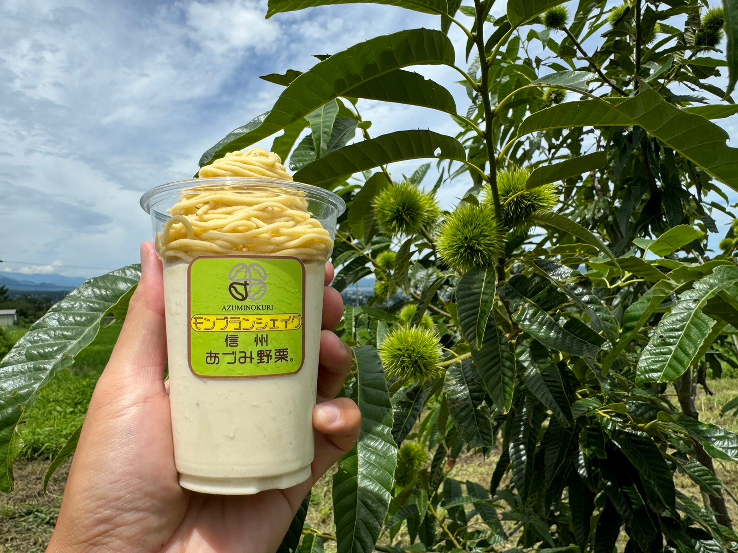キッチンカー販売スタートしました！