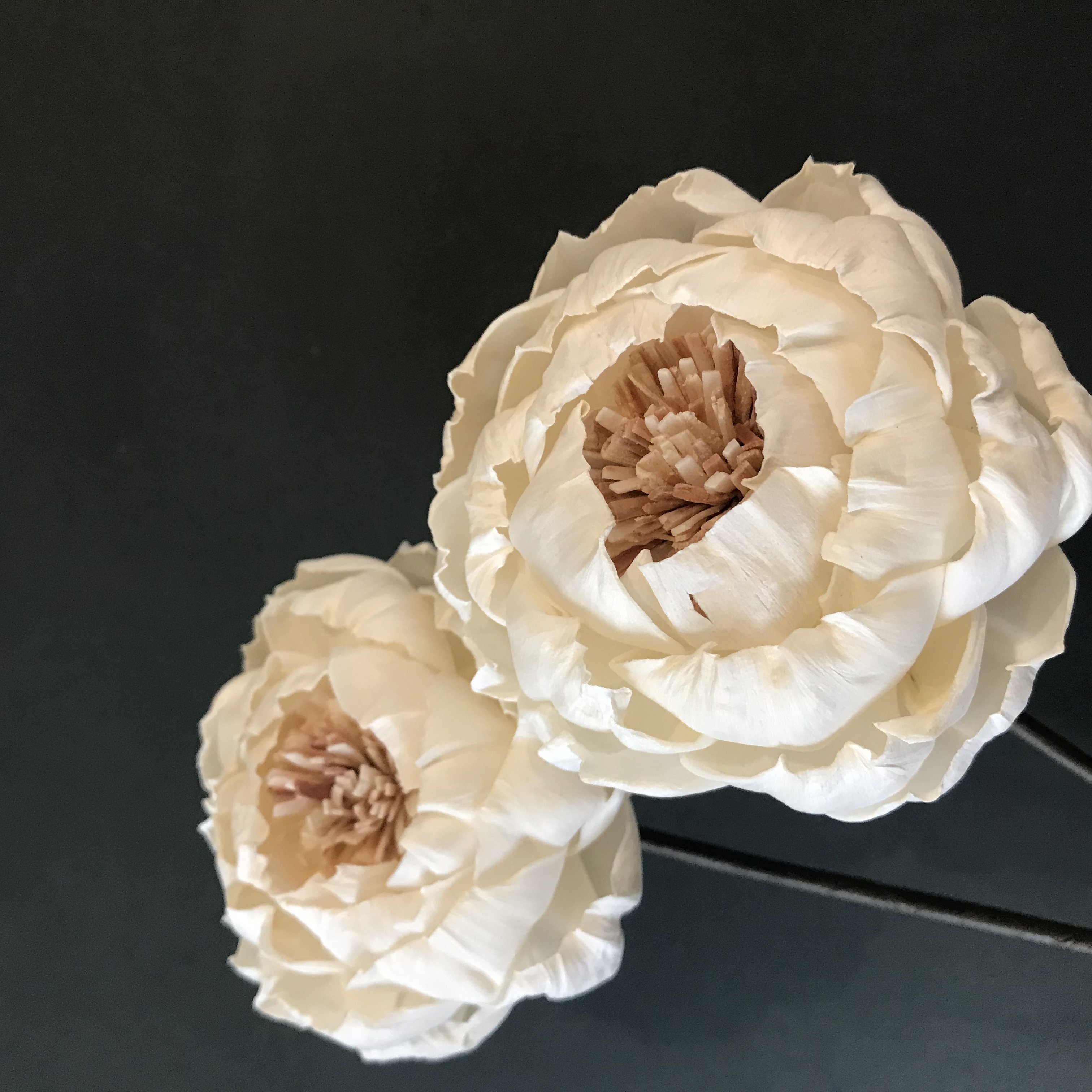 ソラフラワーの芍薬