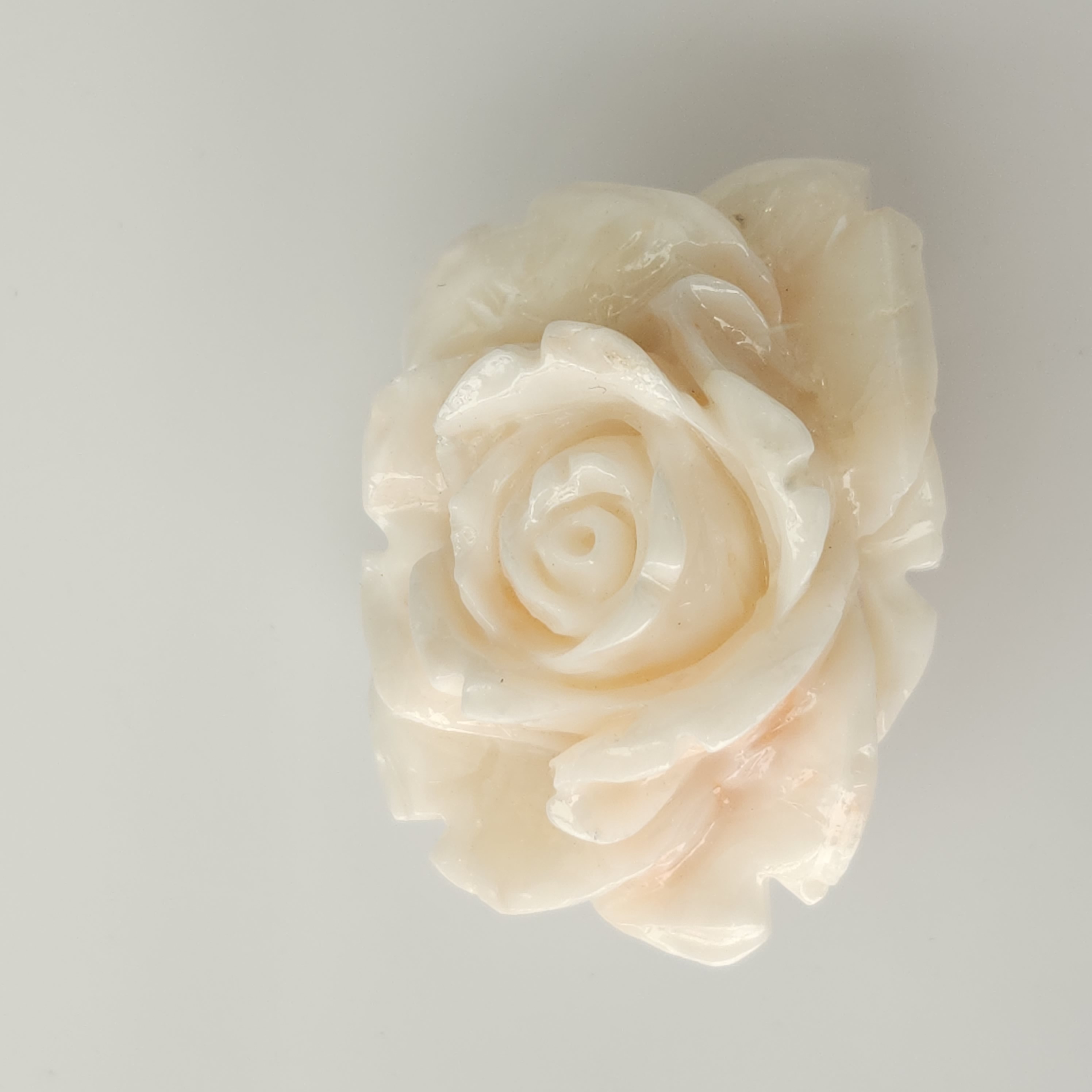 【新掲載】白薔薇の帯留め(白珊瑚彫刻)