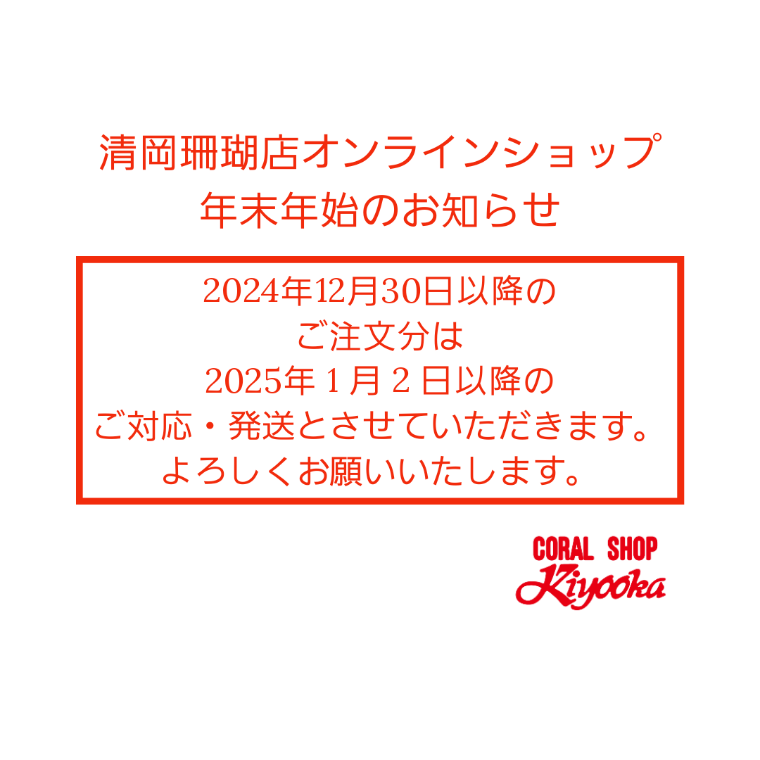 ネットショップ　年末年始のお知らせ