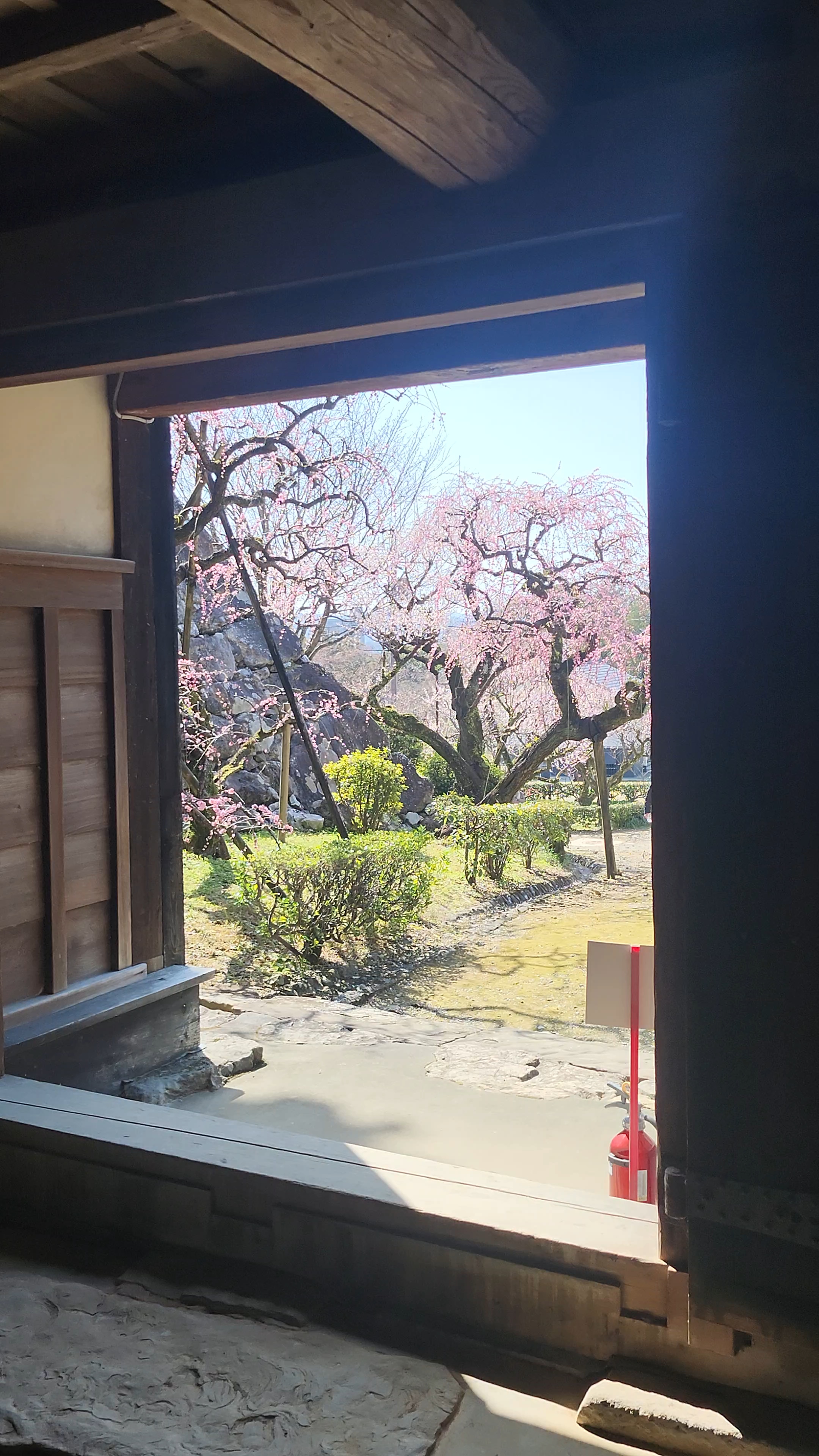 春分の日