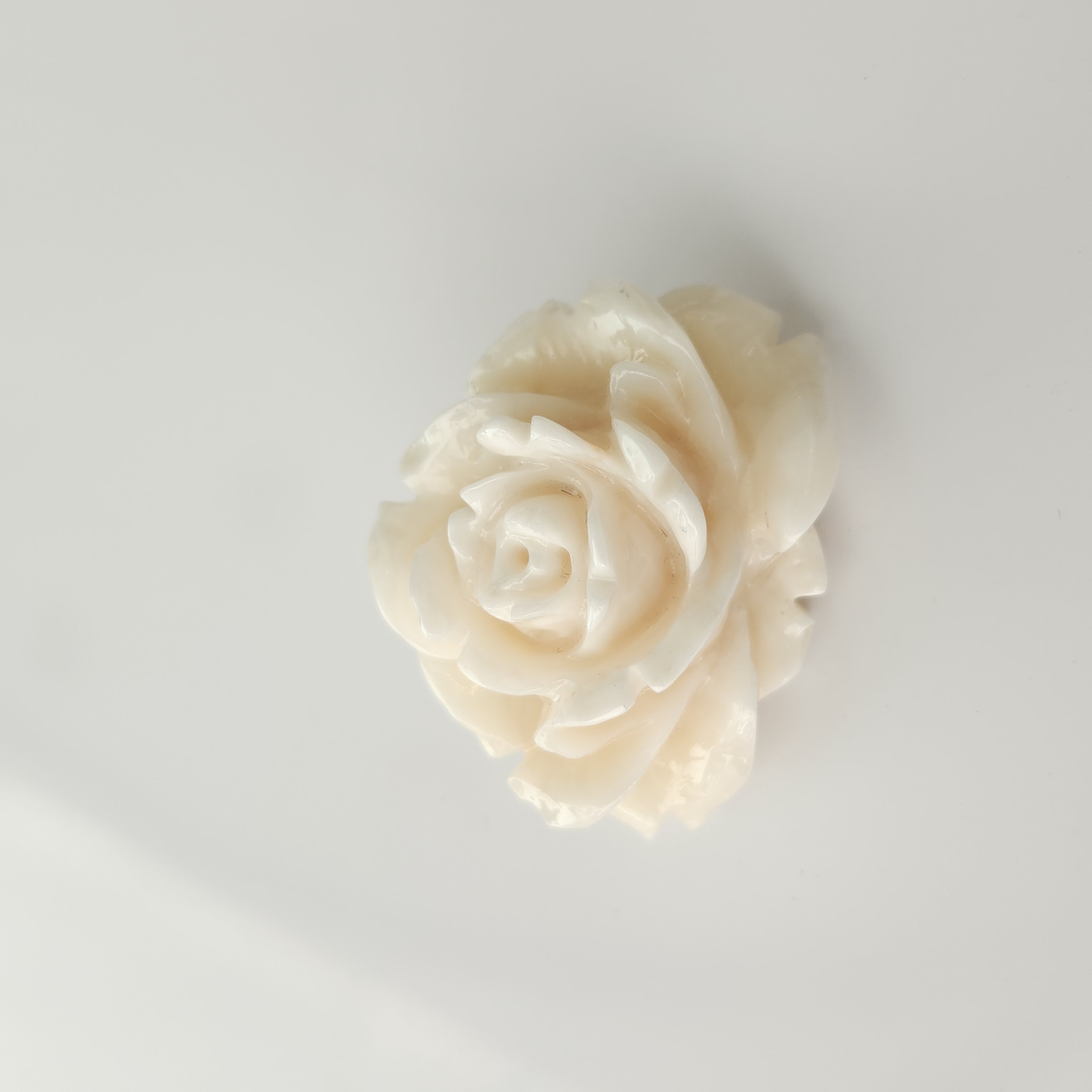 【新掲載】白薔薇ブローチ(白珊瑚彫刻)