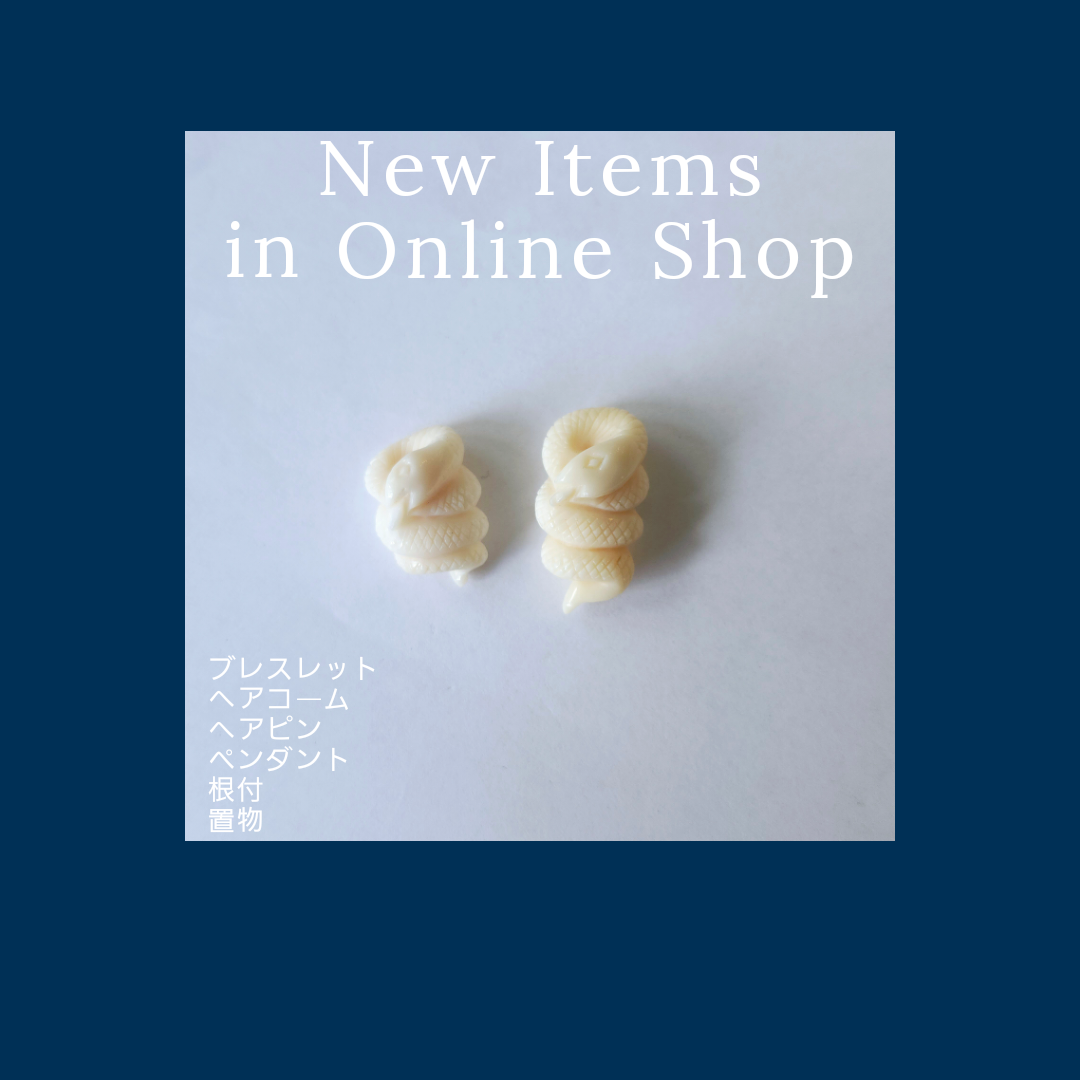 今月の新掲載商品　2024.12