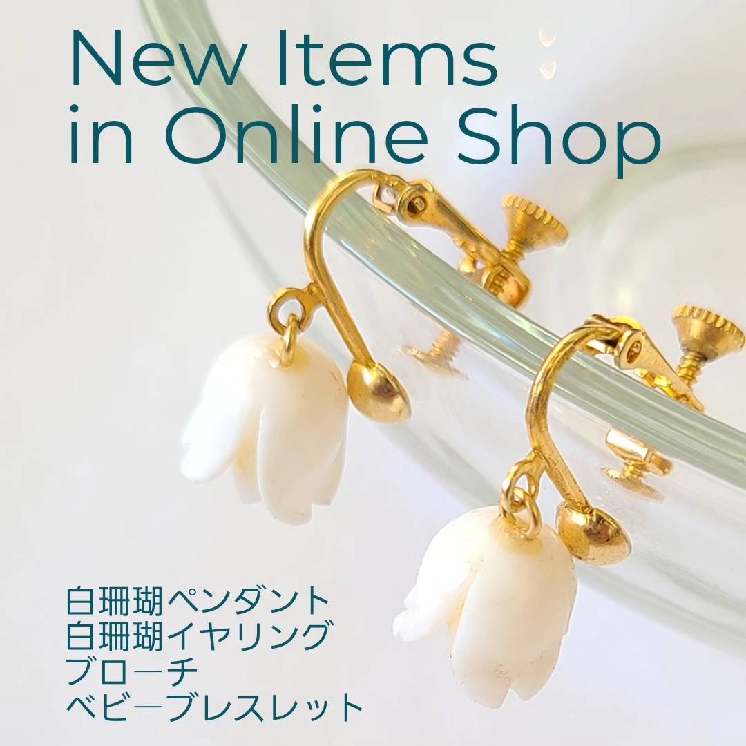 今月の新掲載商品　2024.6