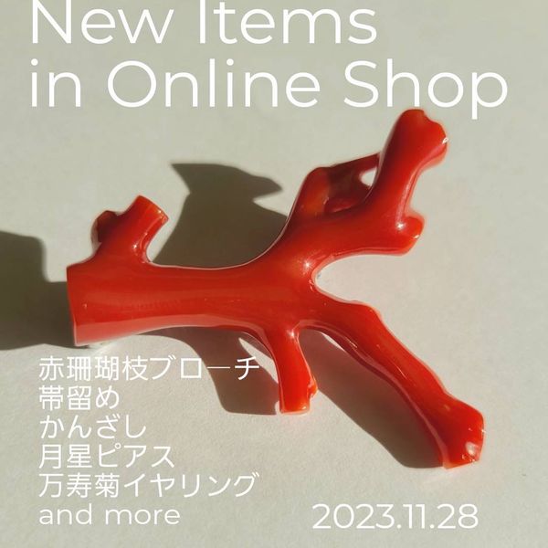 11月の新掲載商品