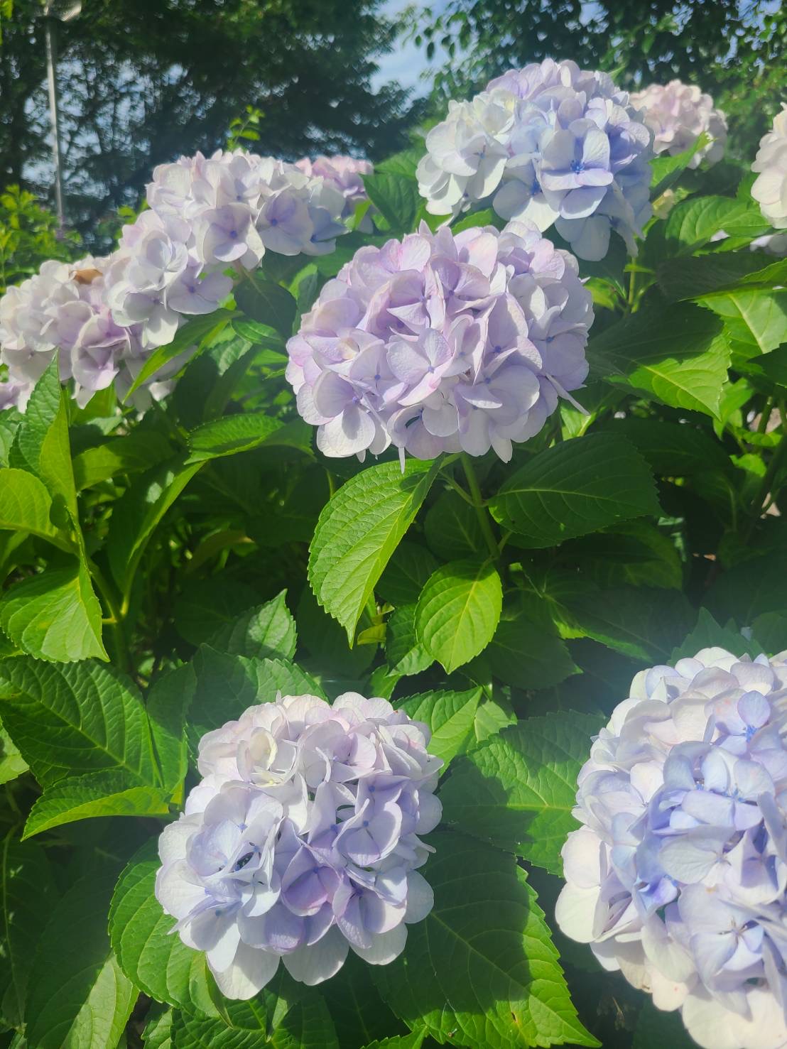今日から7月