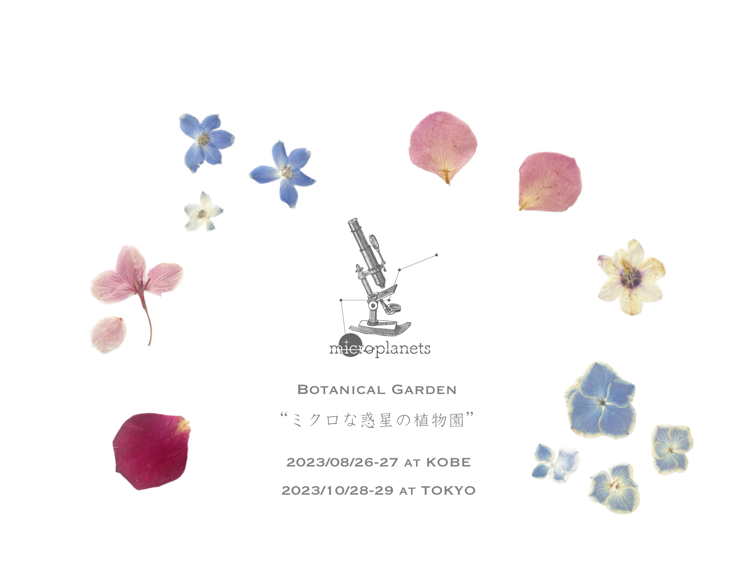 明日から個展！