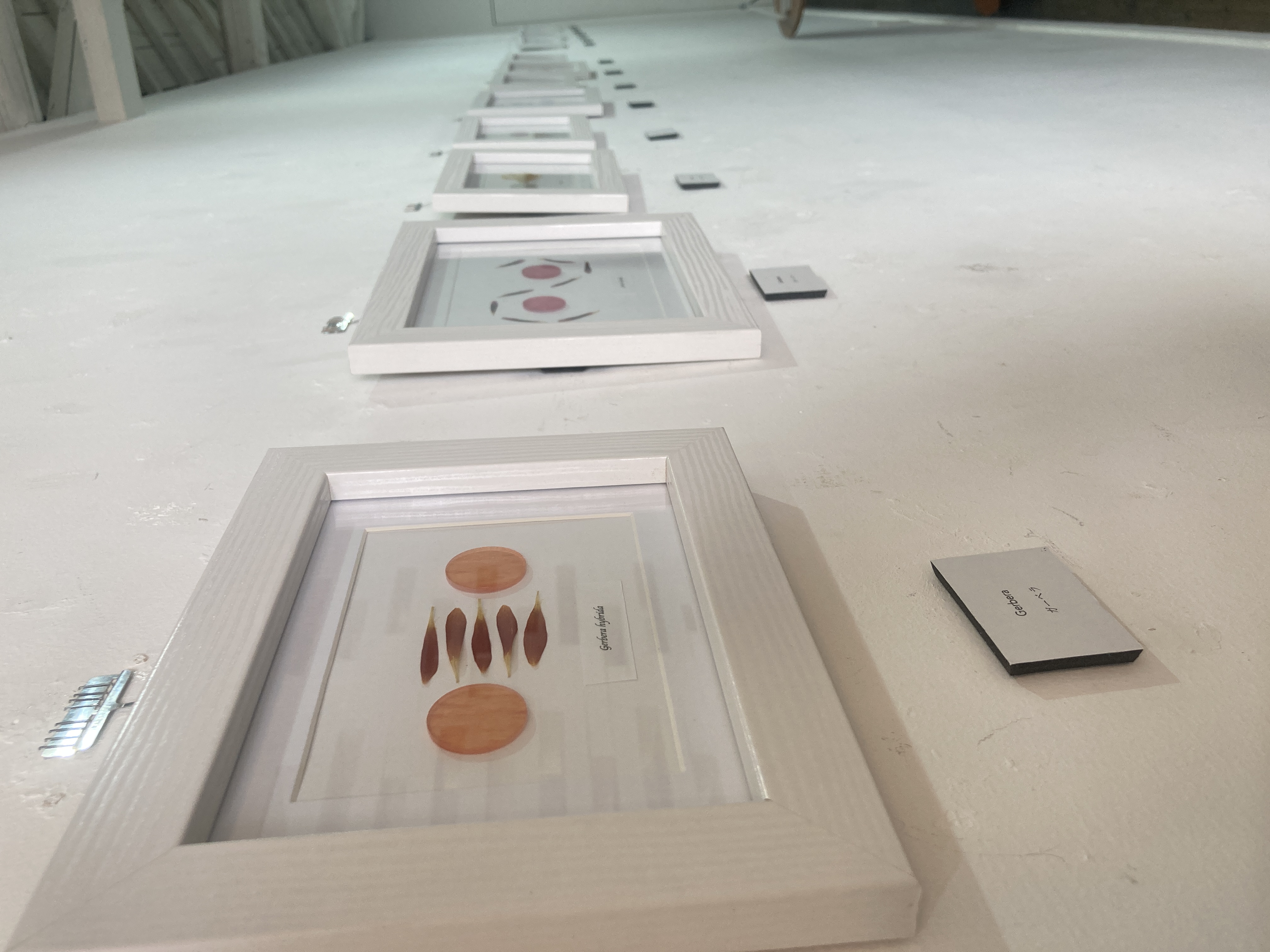 個展1日目