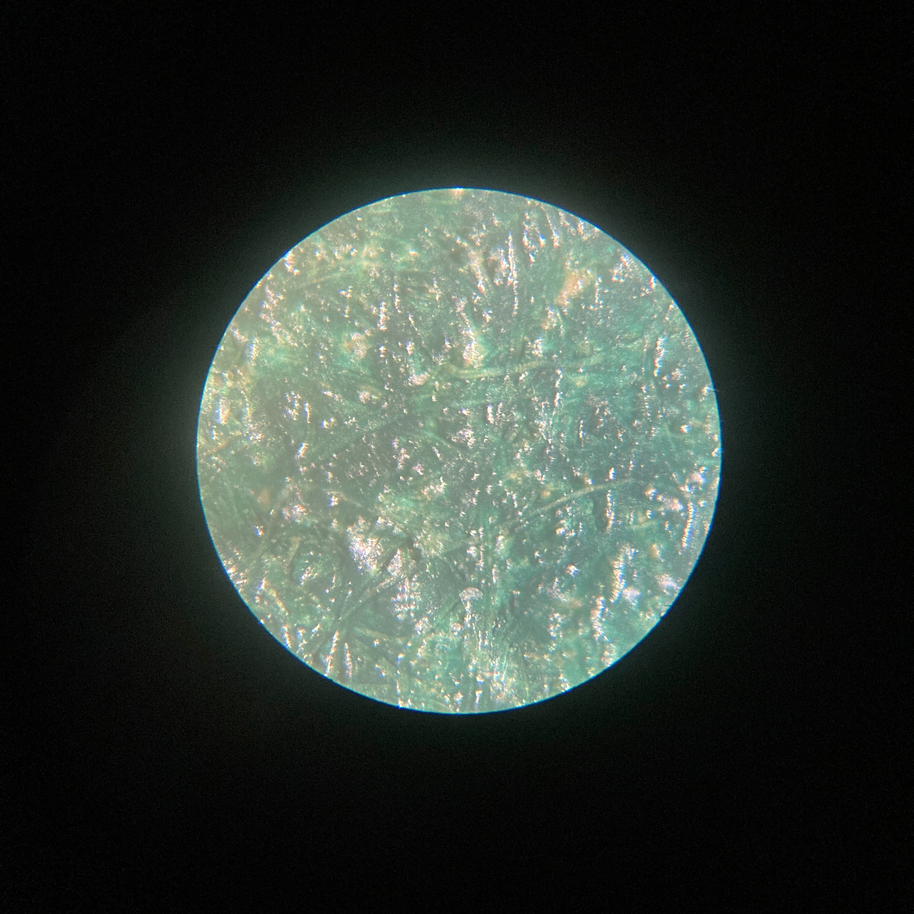 このmicroplanetsは？