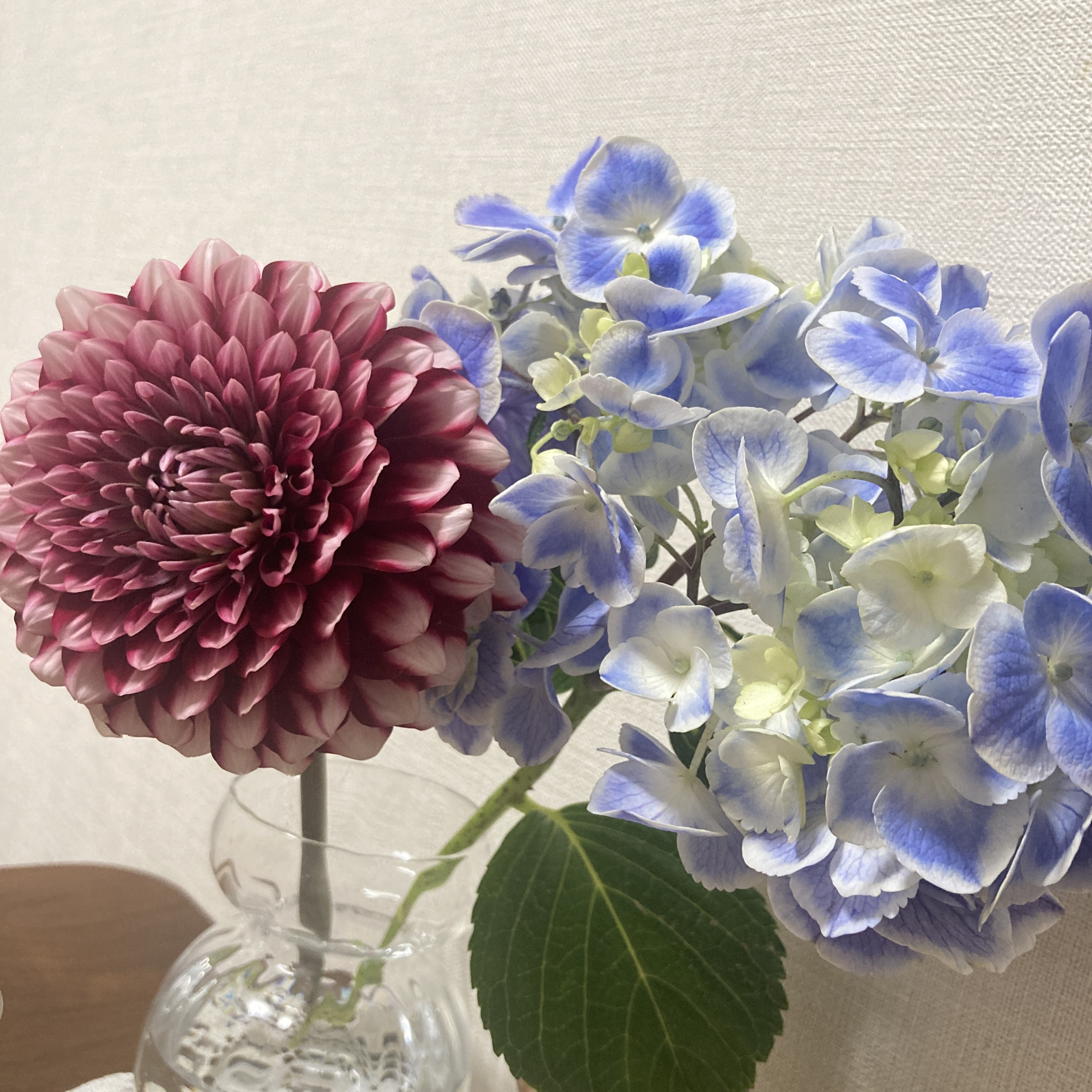 豪華な花
