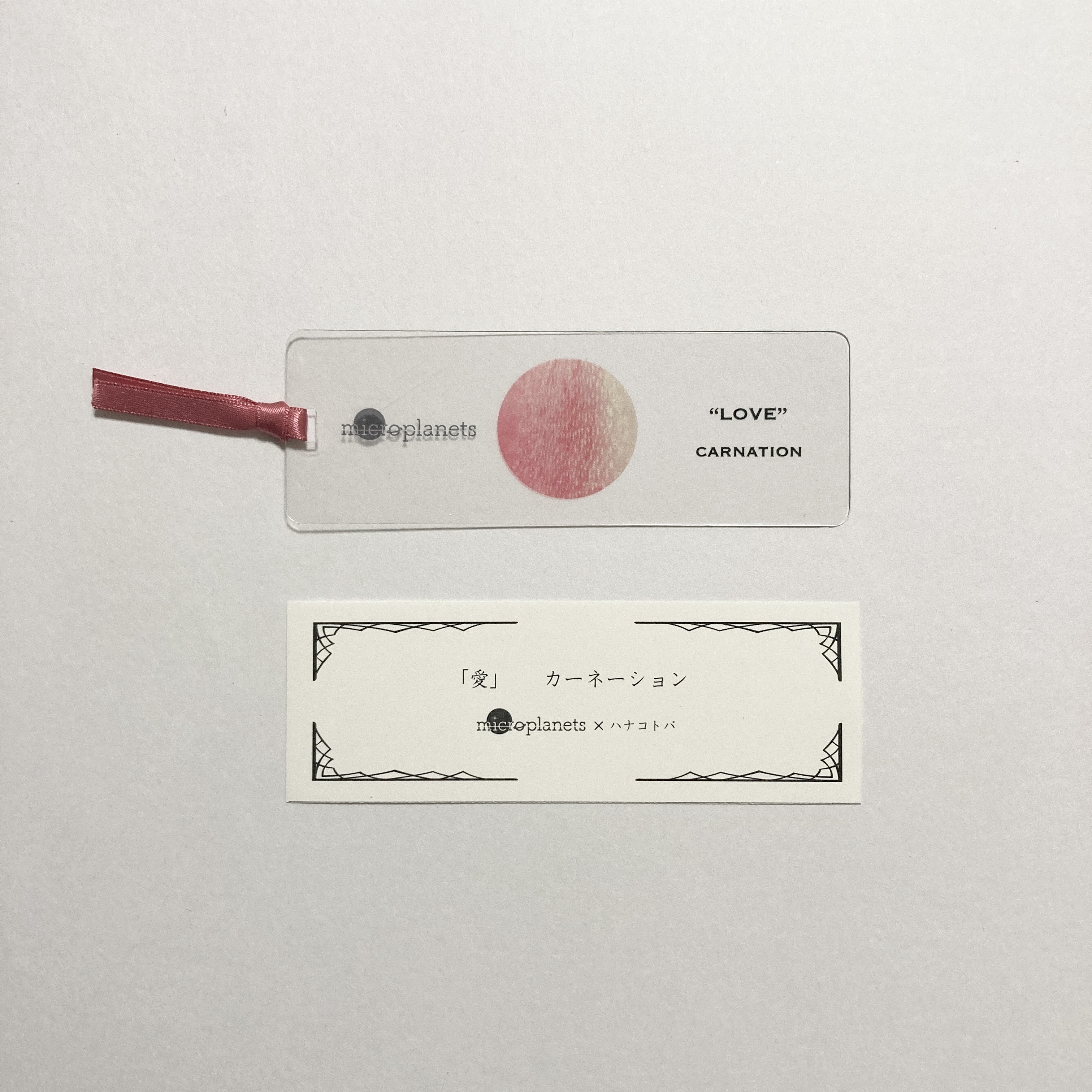 カーネーションのmicroplanets
