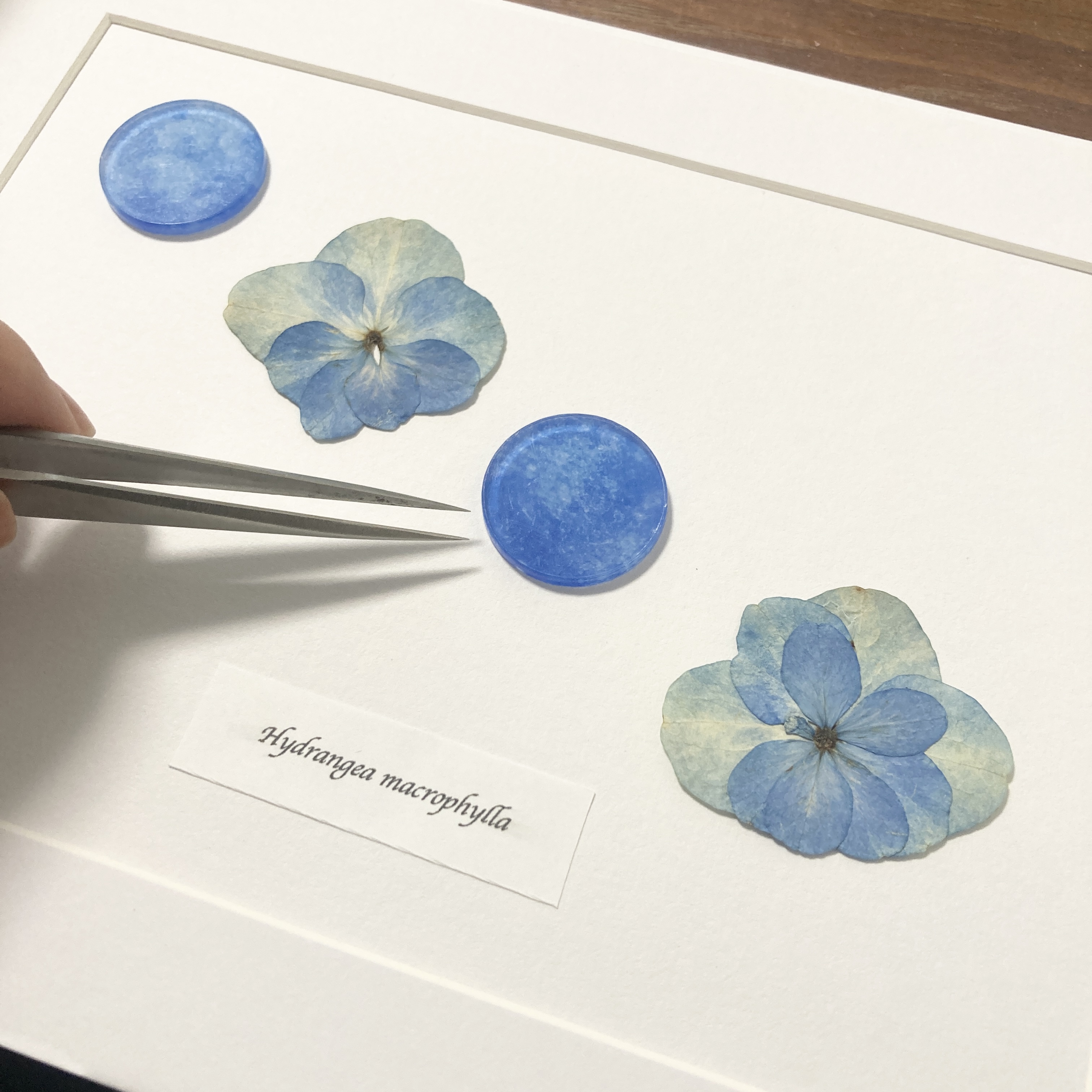 個展の作品完成！