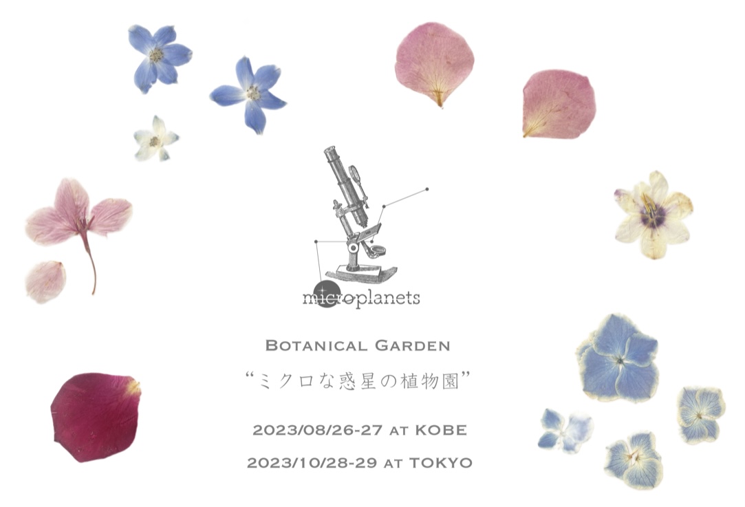 個展のテーマ公開