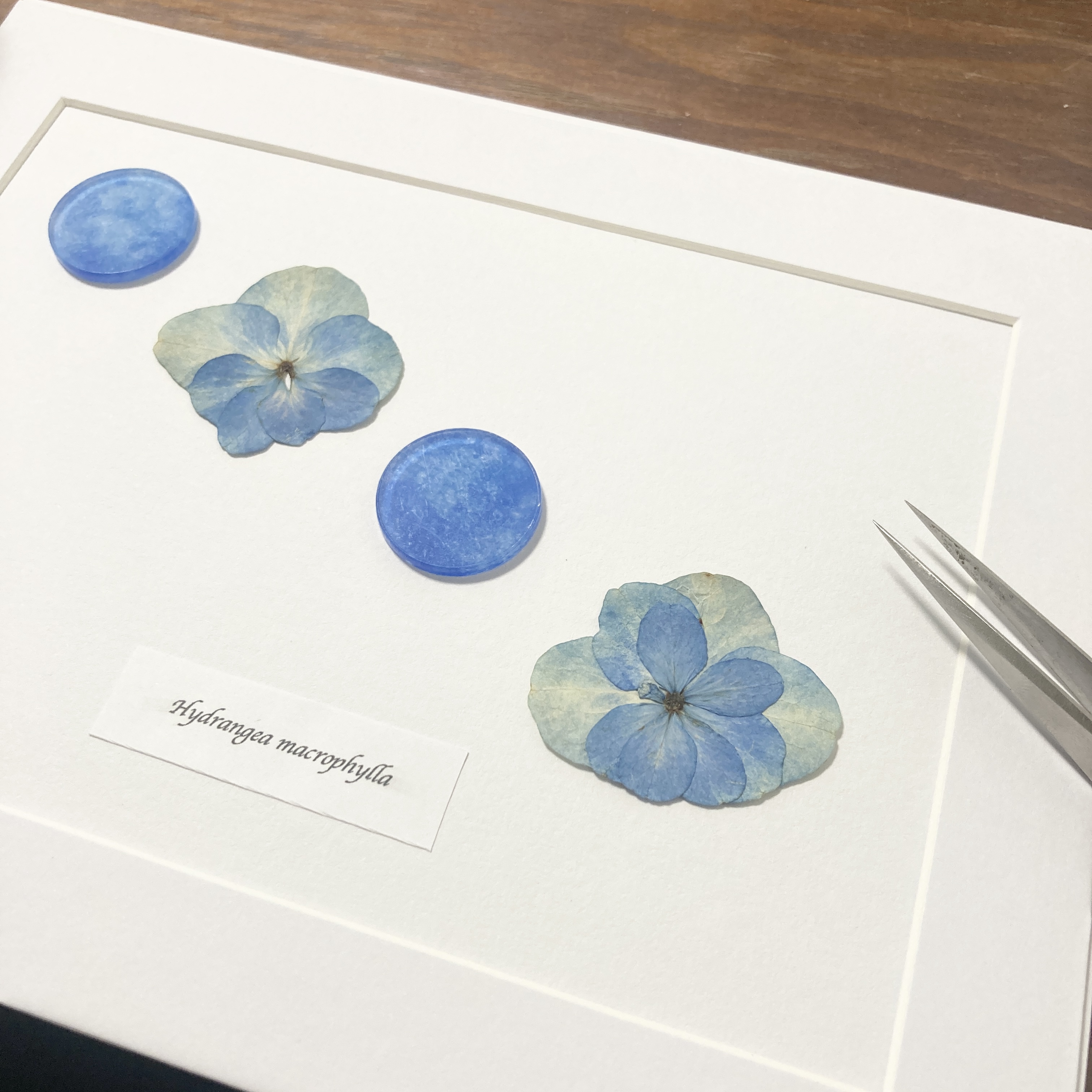 個展の額縁作品