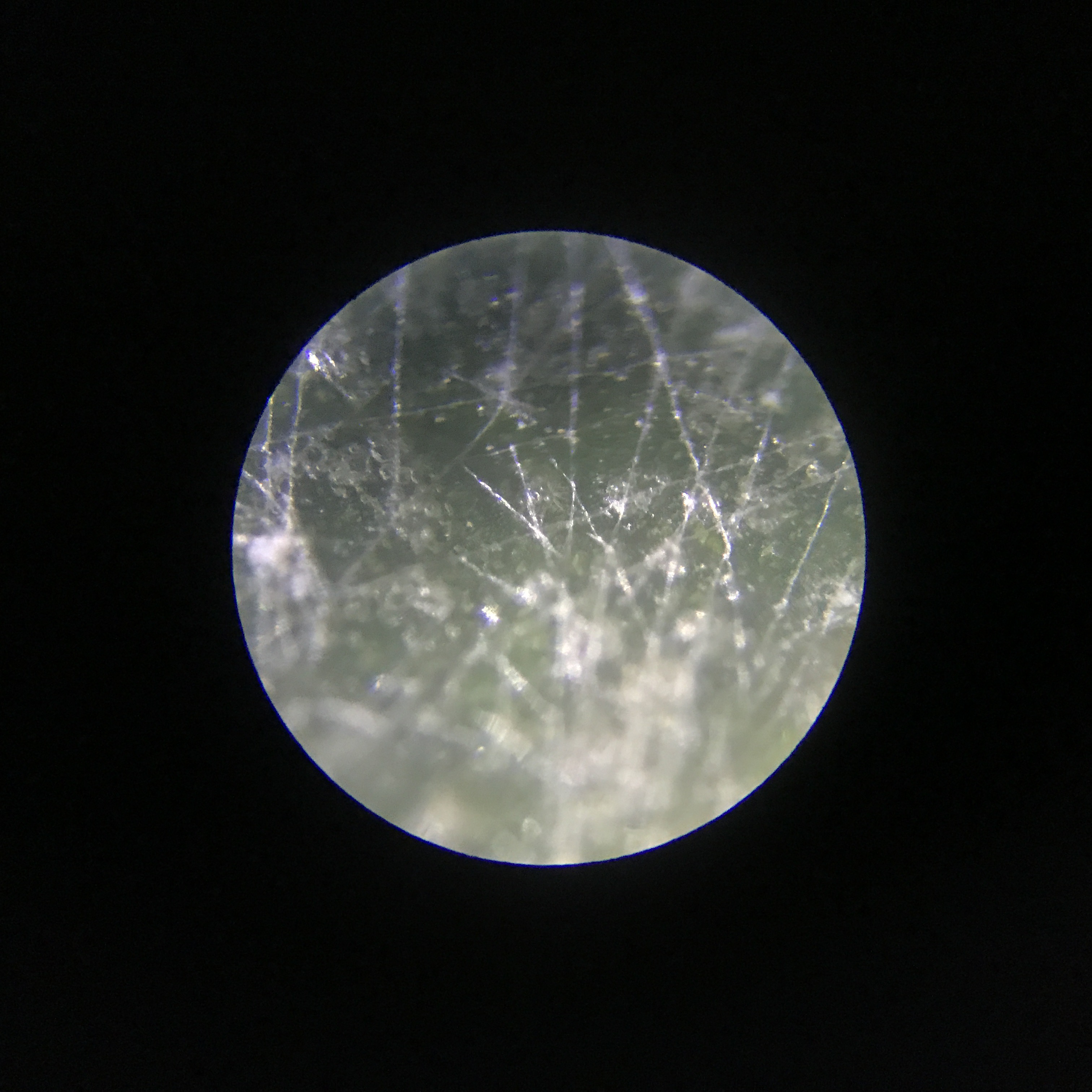 このmicroplanetsは？