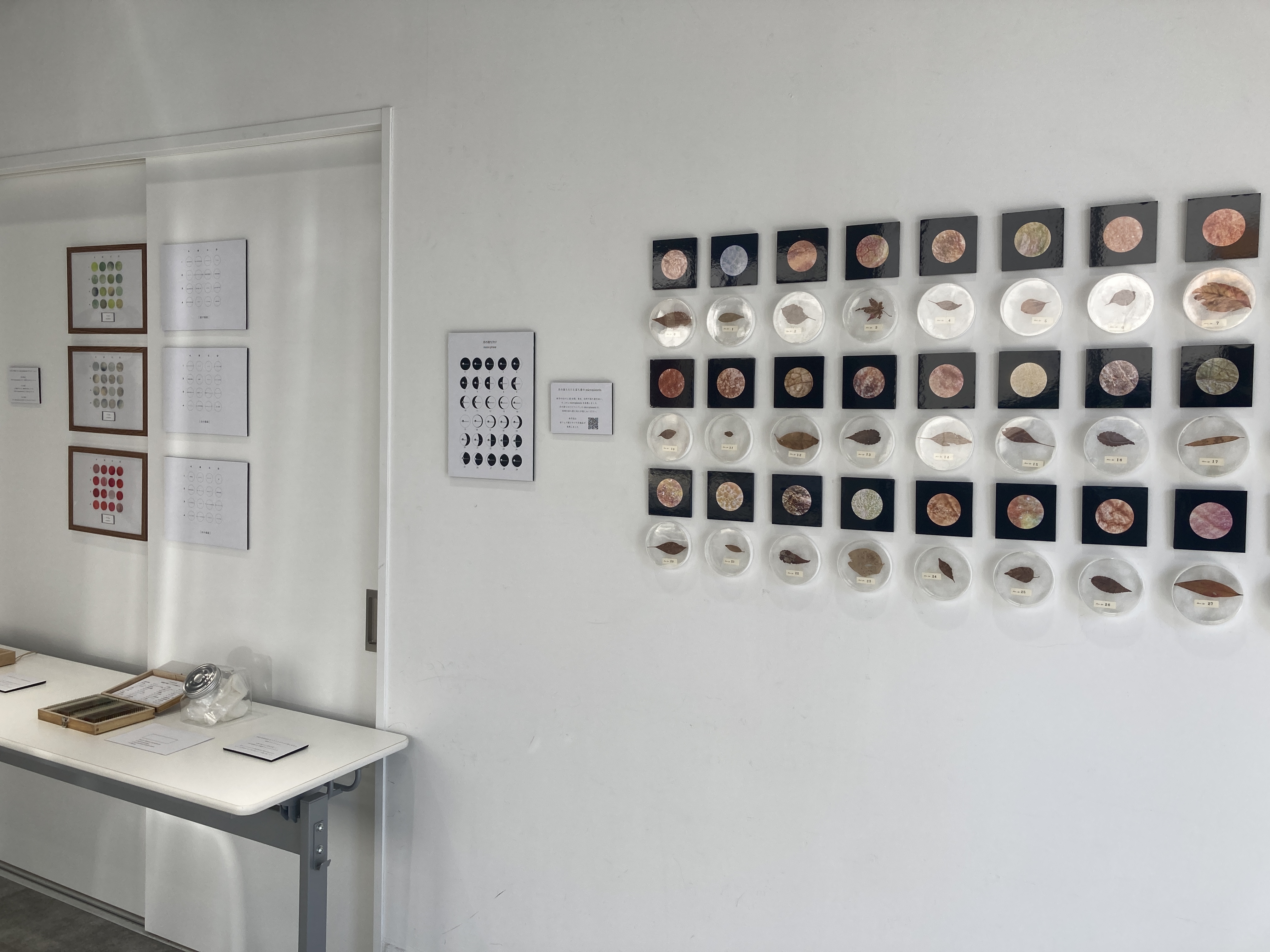 「ミクロな惑星」展 2日目