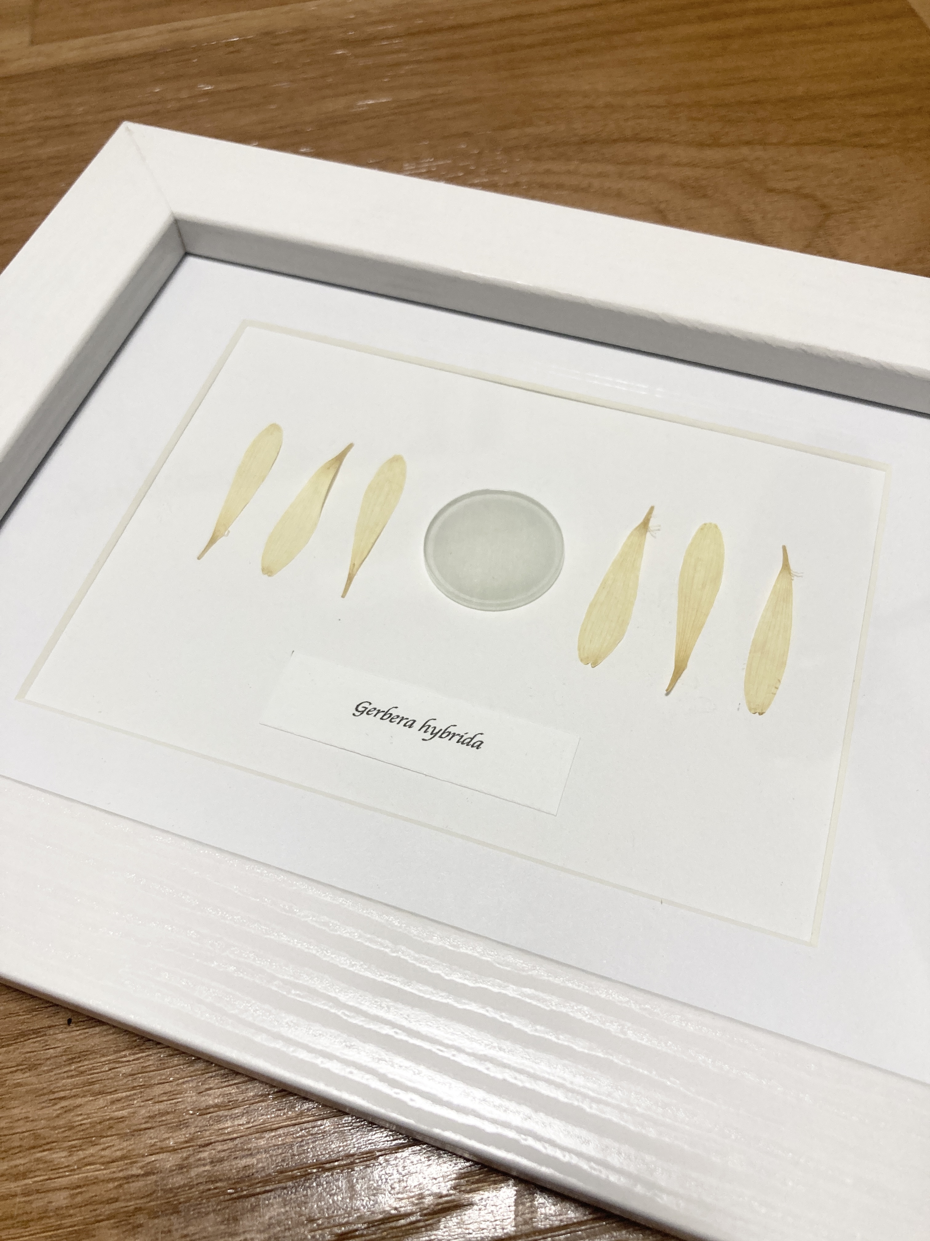 額縁作品