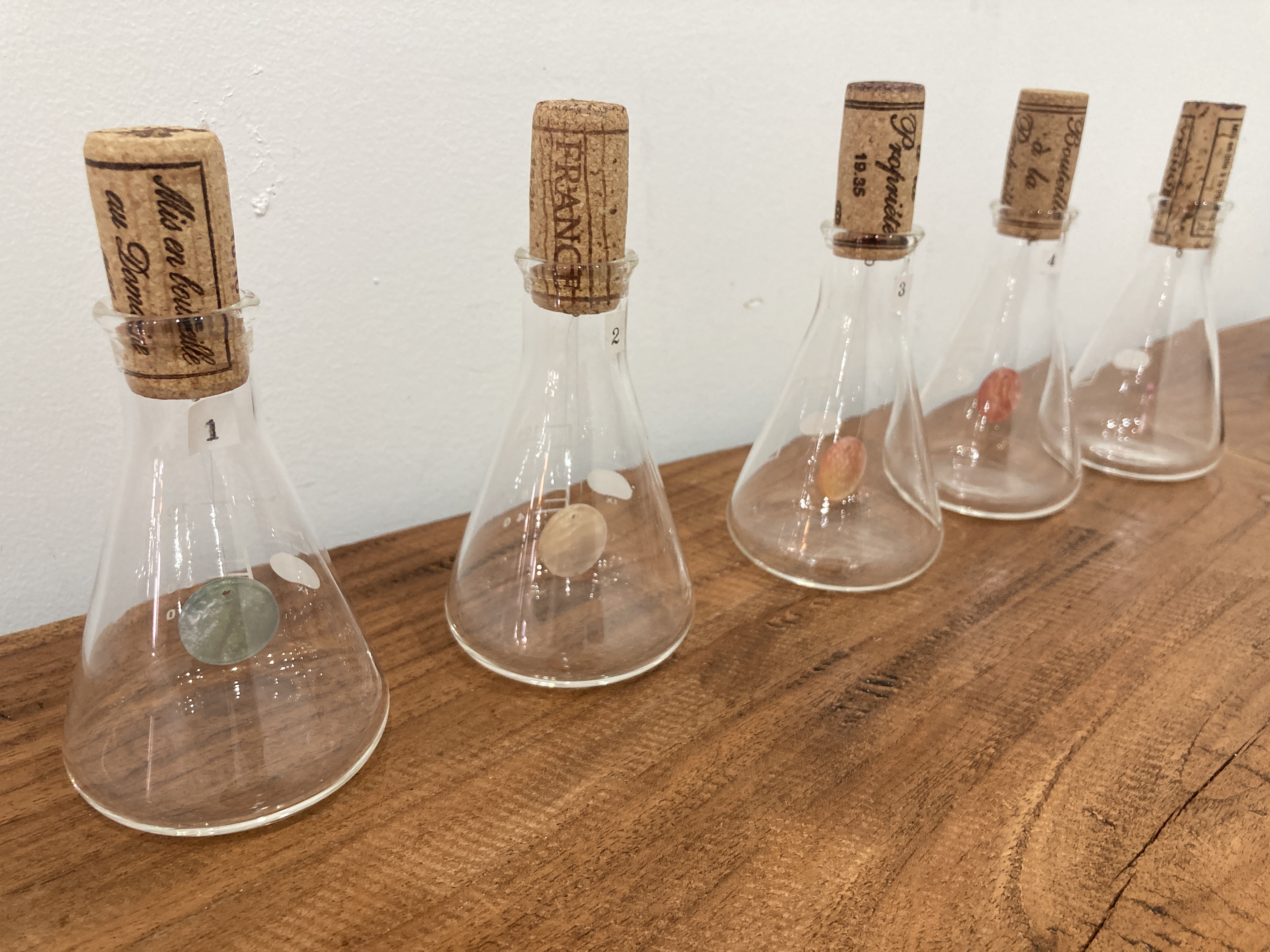 個展の紹介⑤